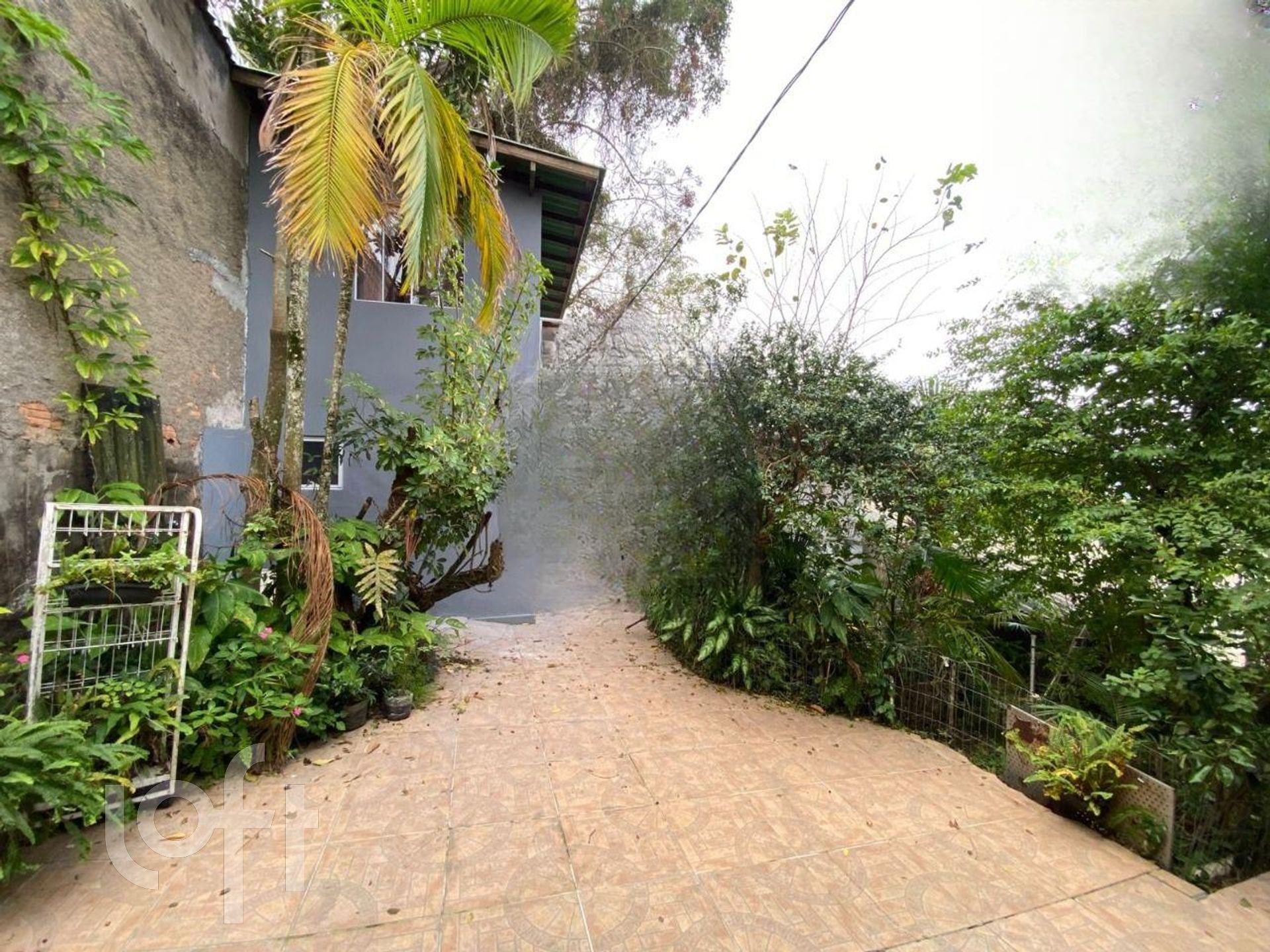 Imagem da propriedade 23