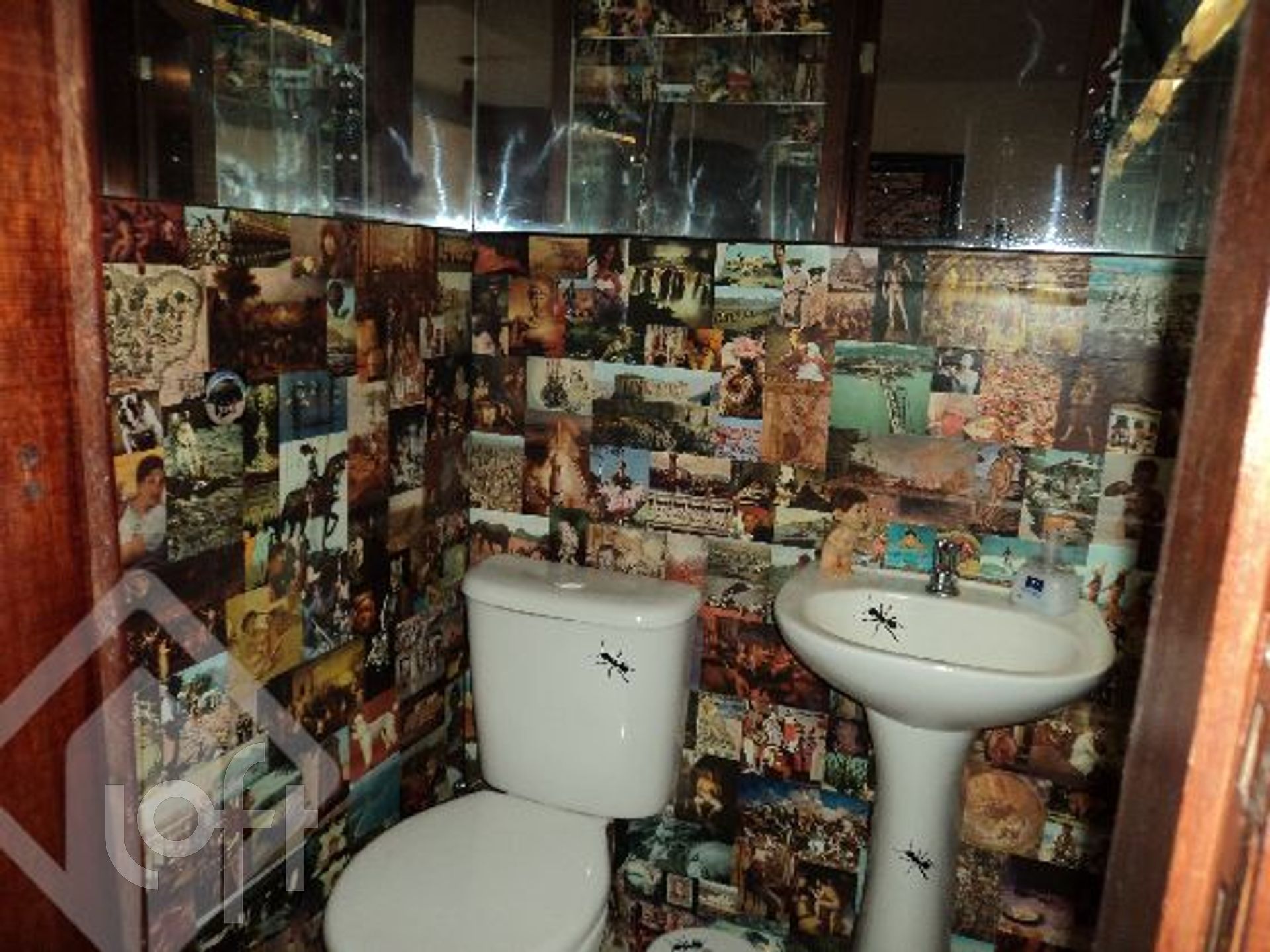 Imagem da propriedade 10