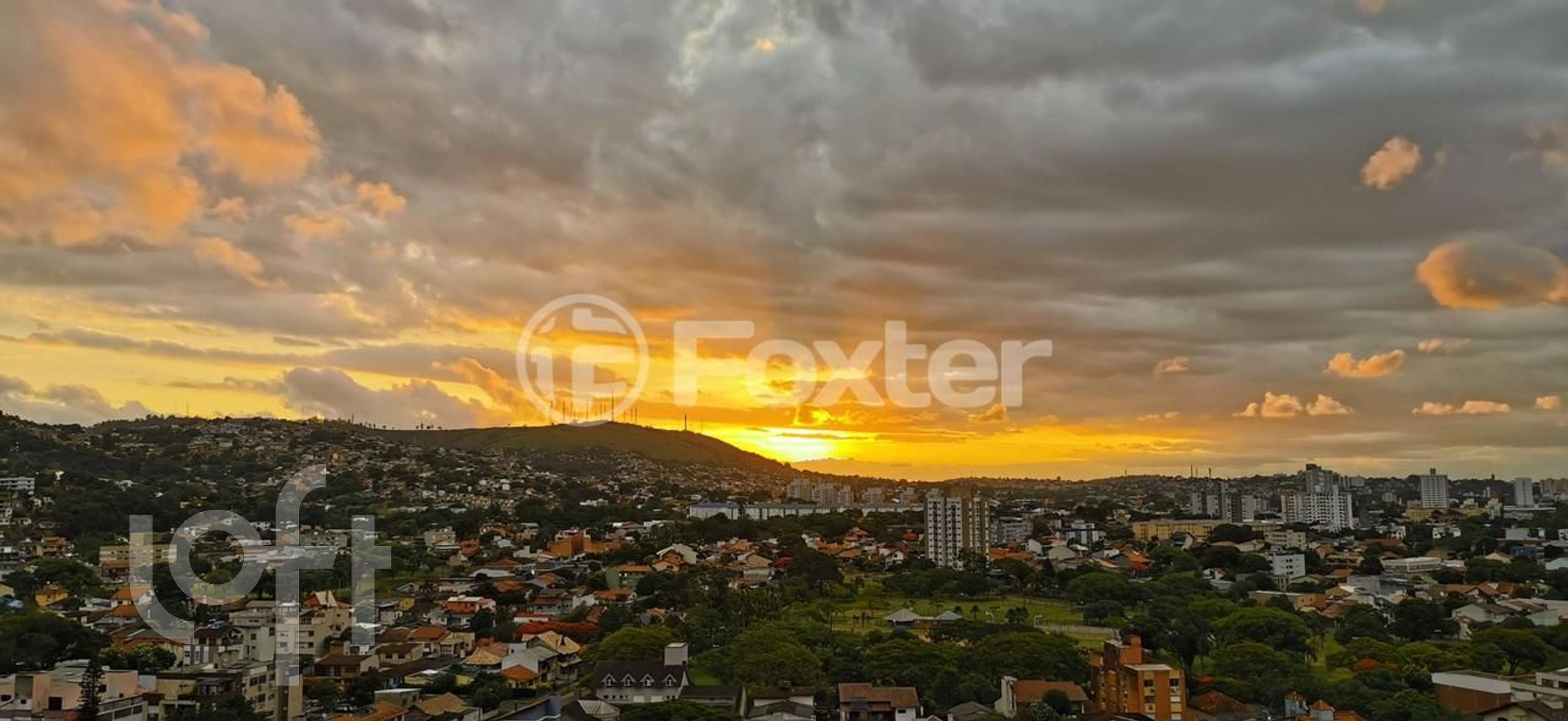 Imagem da propriedade 9