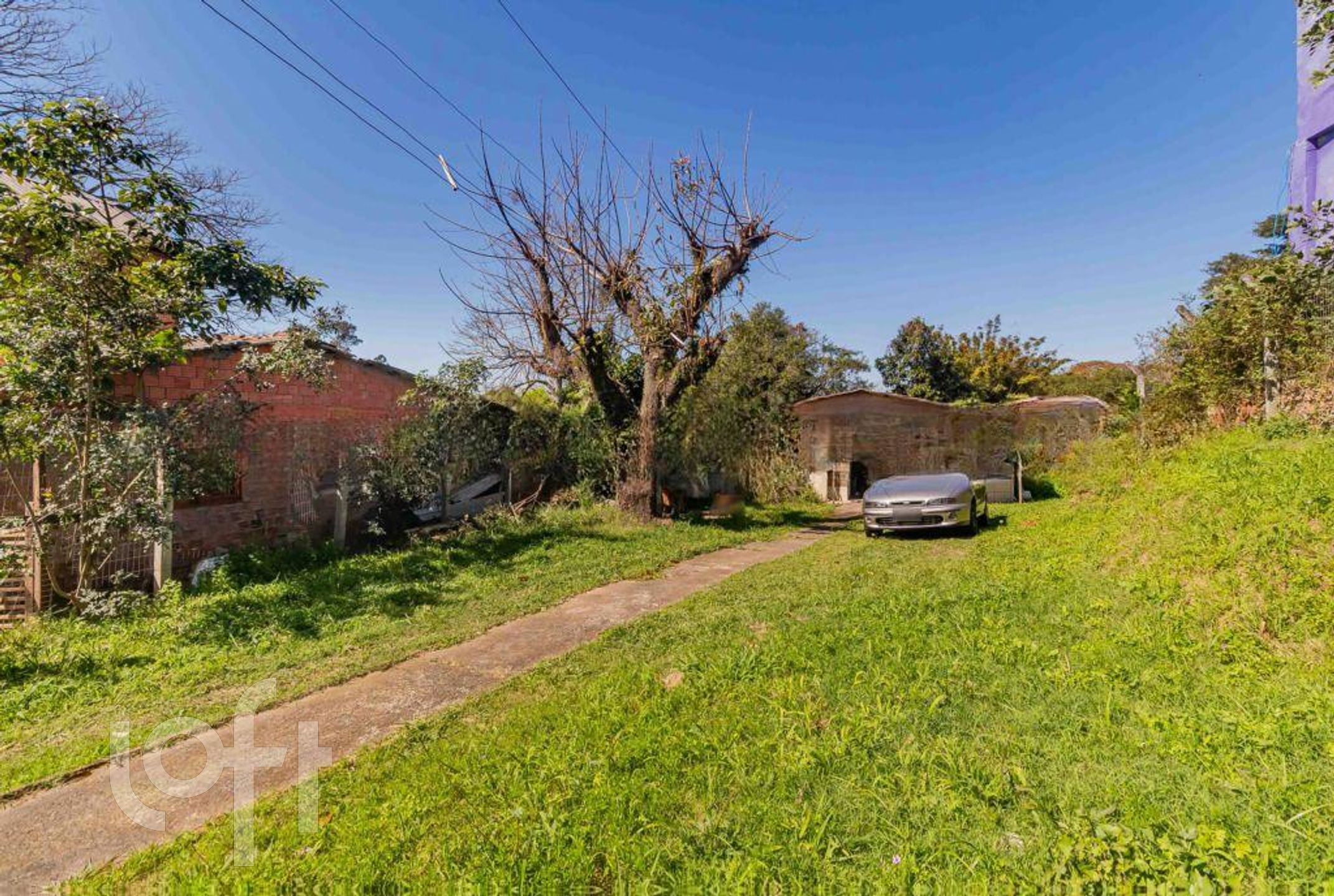 Imagem da propriedade 31