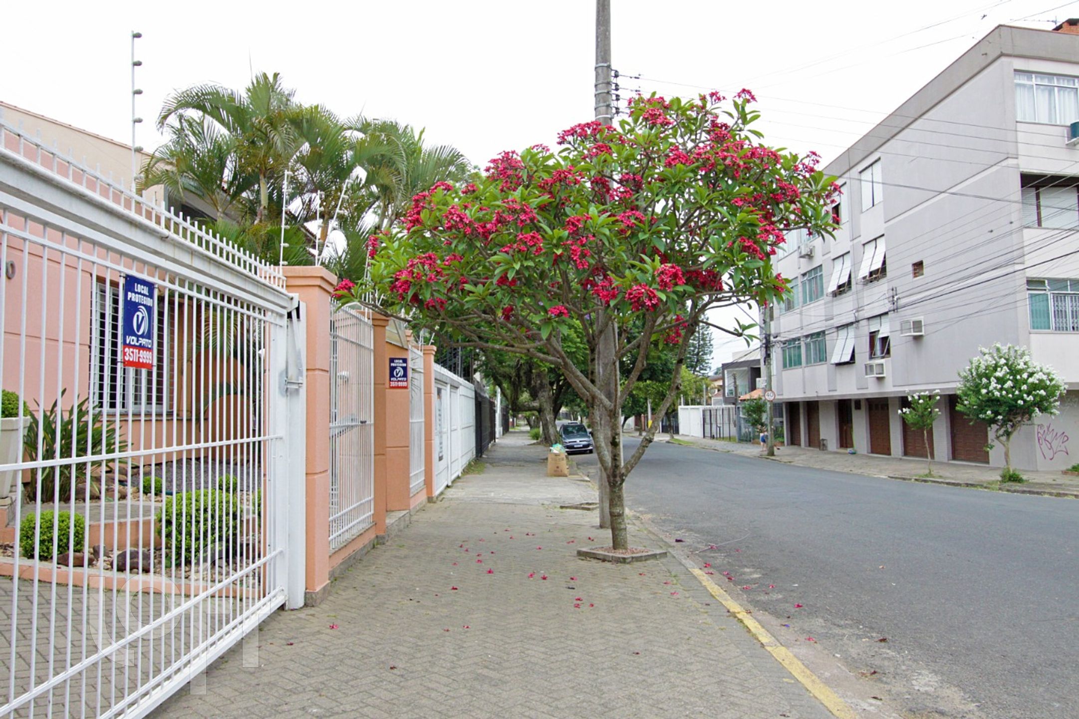 Imagem da propriedade 53