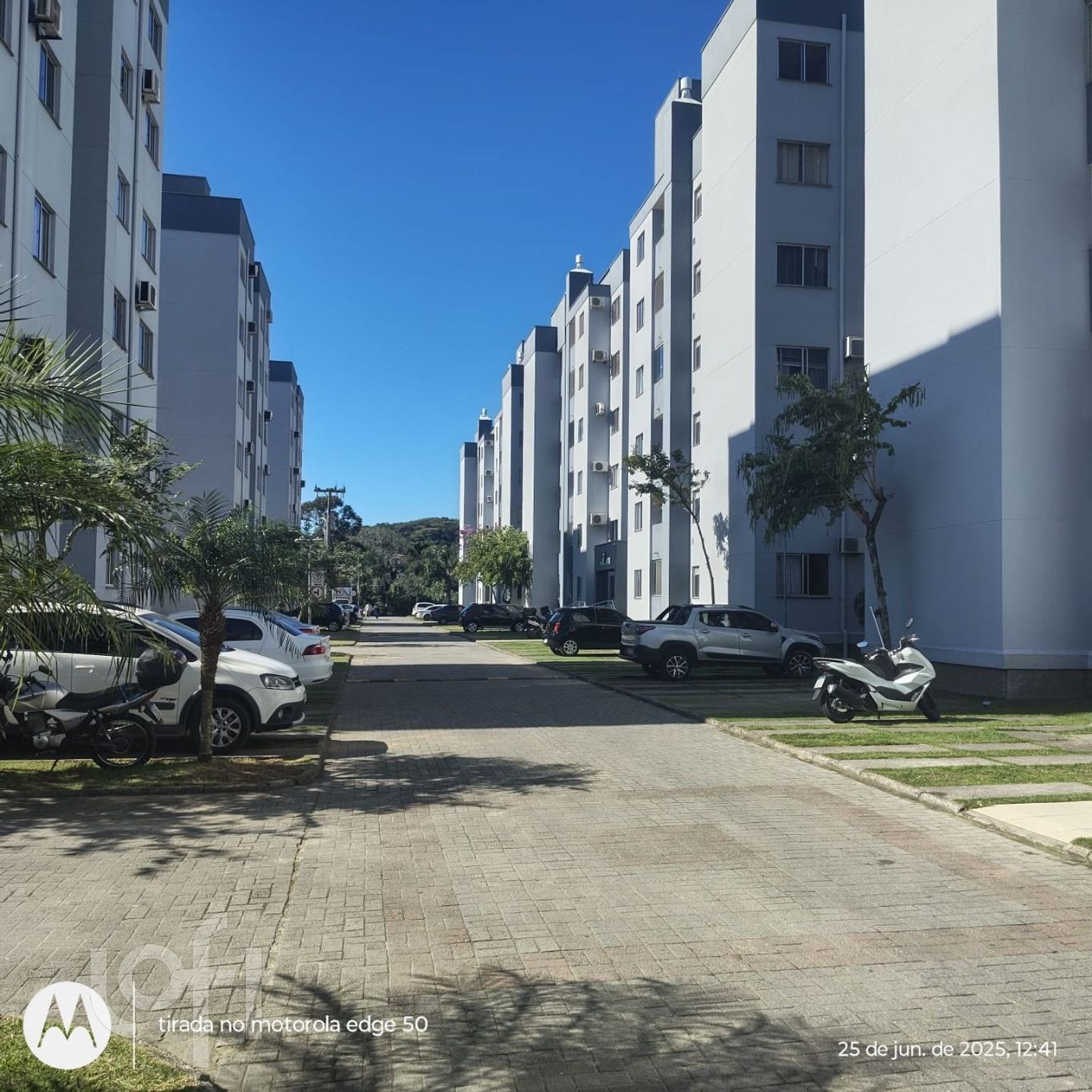 Imagem da propriedade 4
