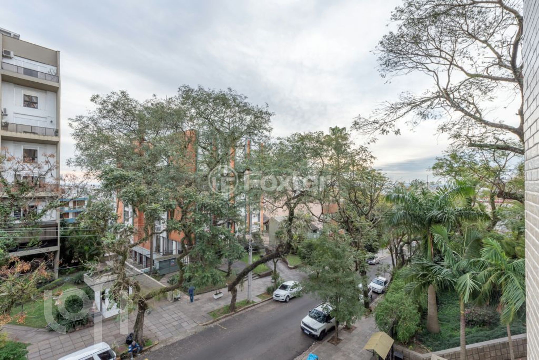 Imagem da propriedade 3