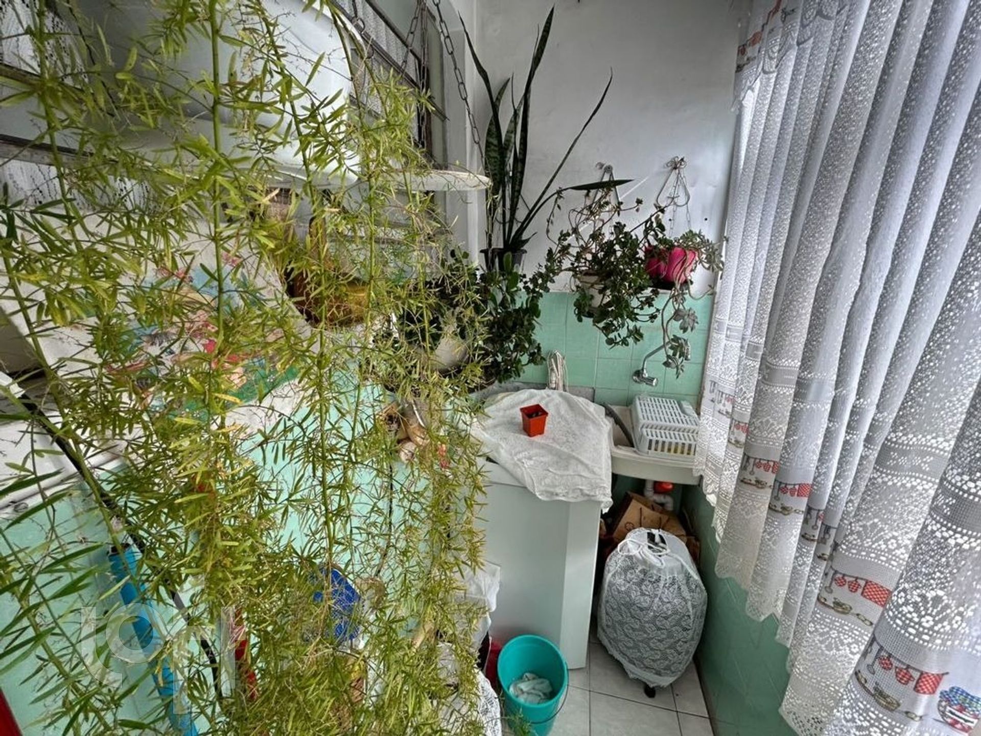 Imagem da propriedade 18