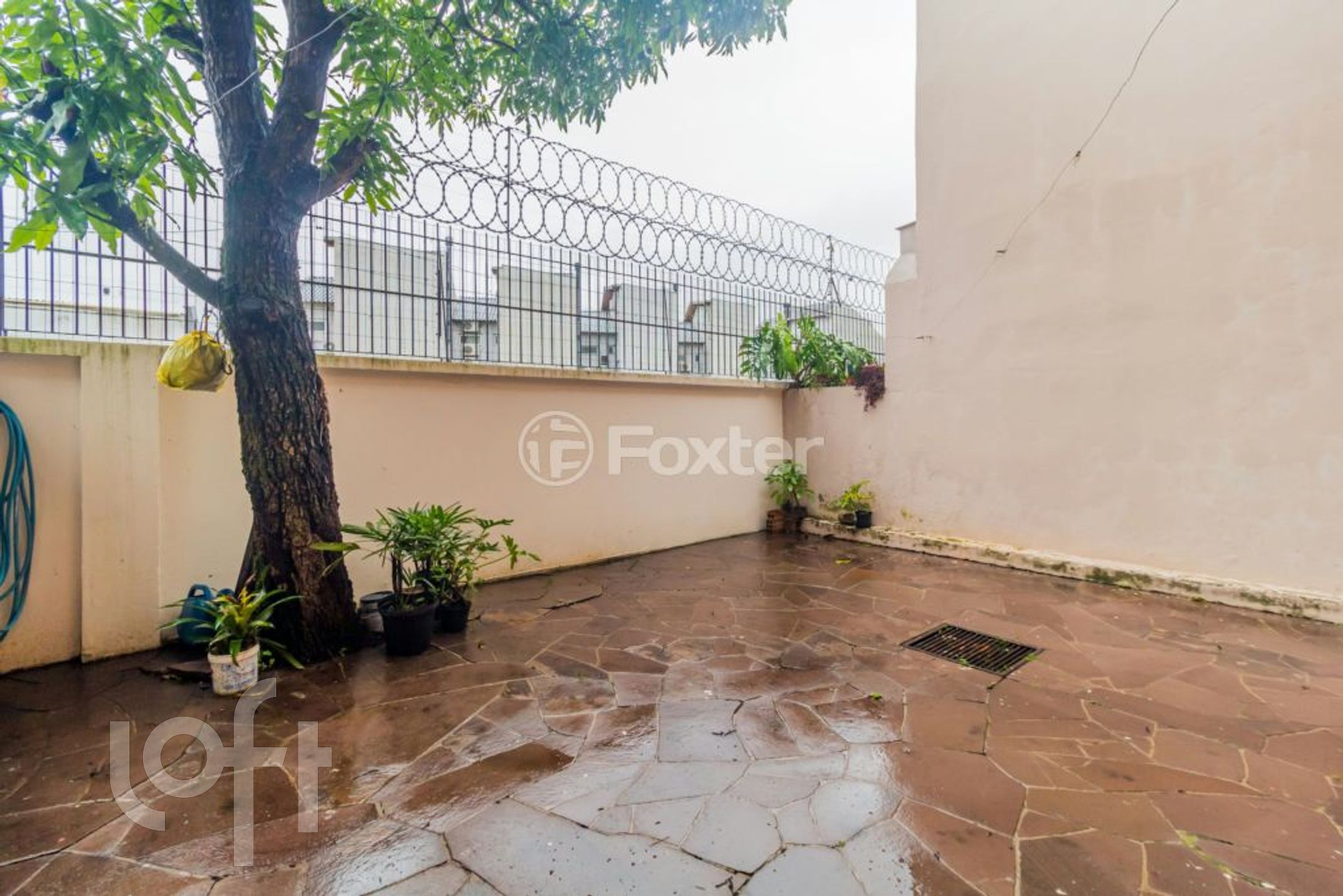 Imagem da propriedade 41