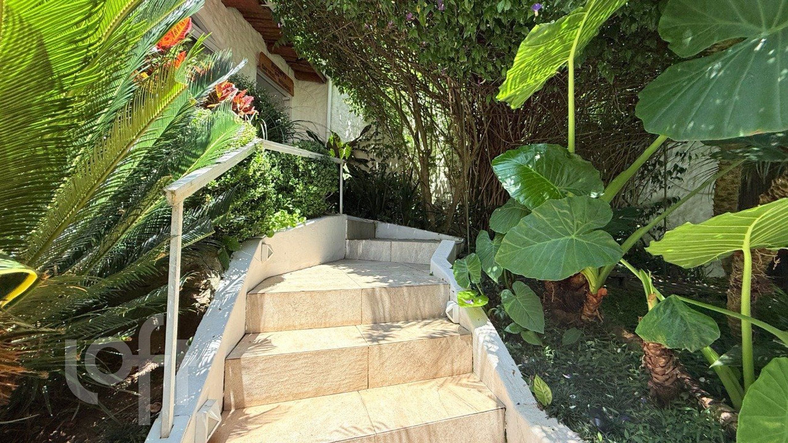 Imagem da propriedade 31