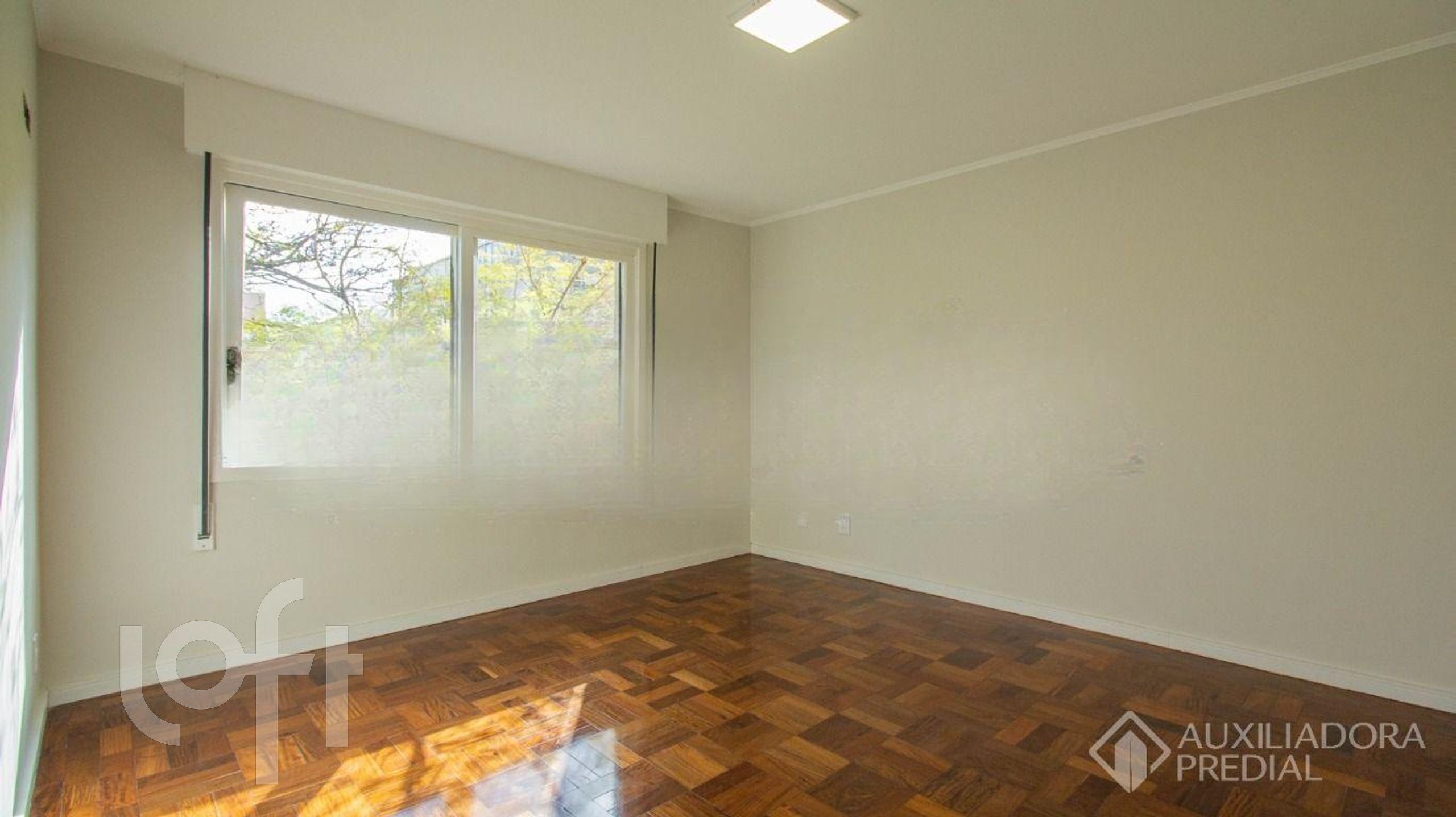 Imagem da propriedade 8