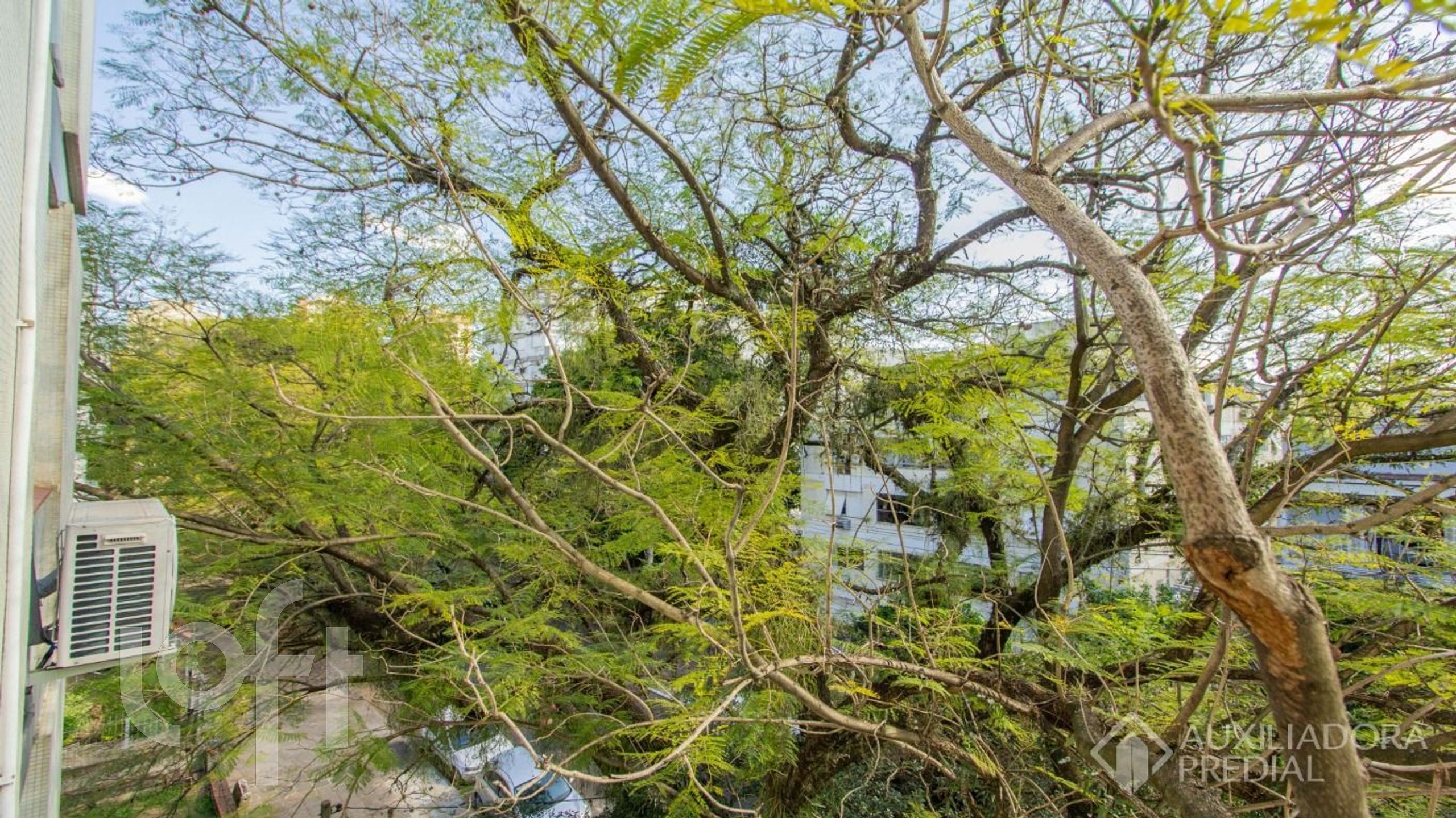 Imagem da propriedade 6