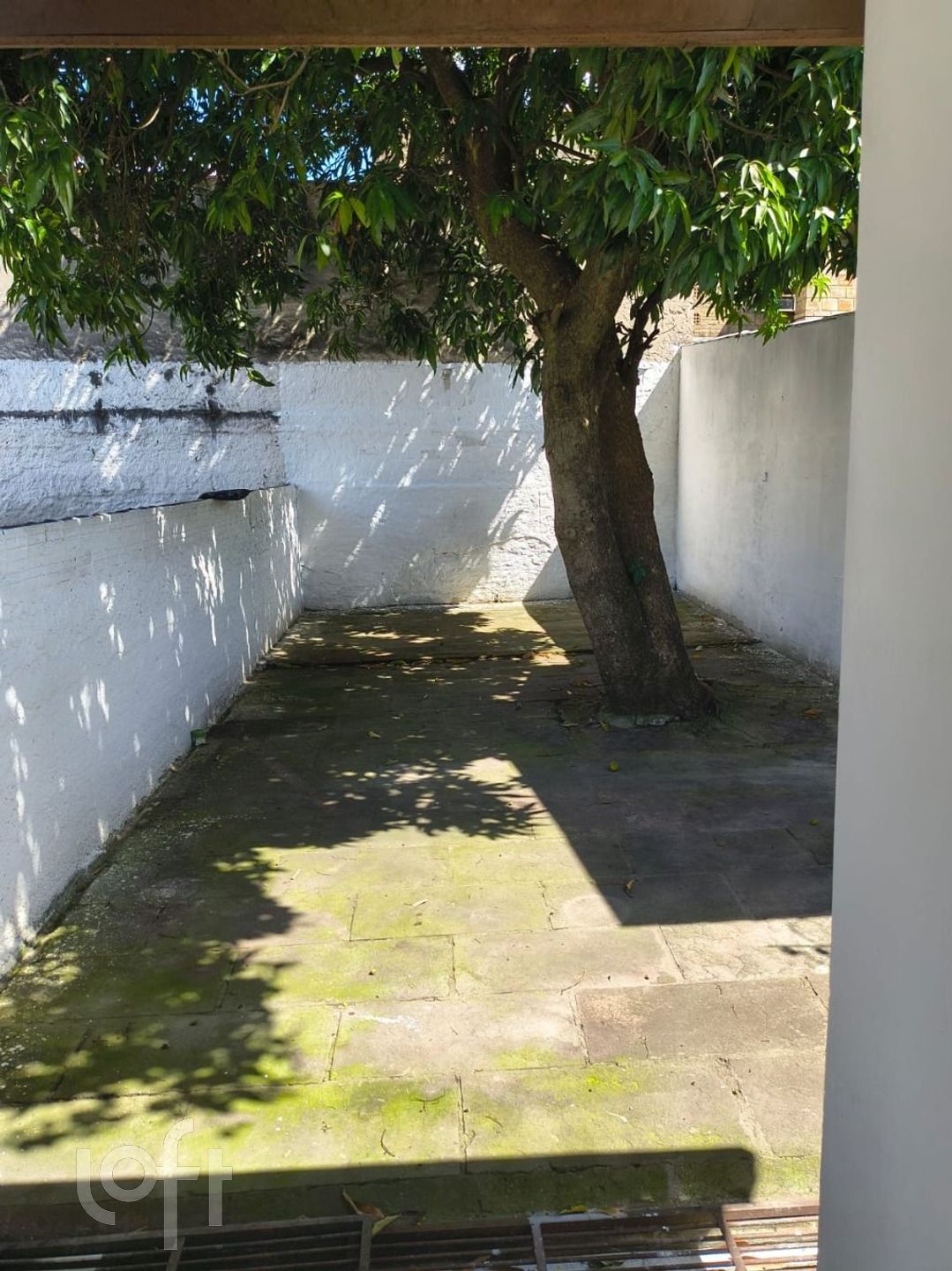 Imagem da propriedade 29