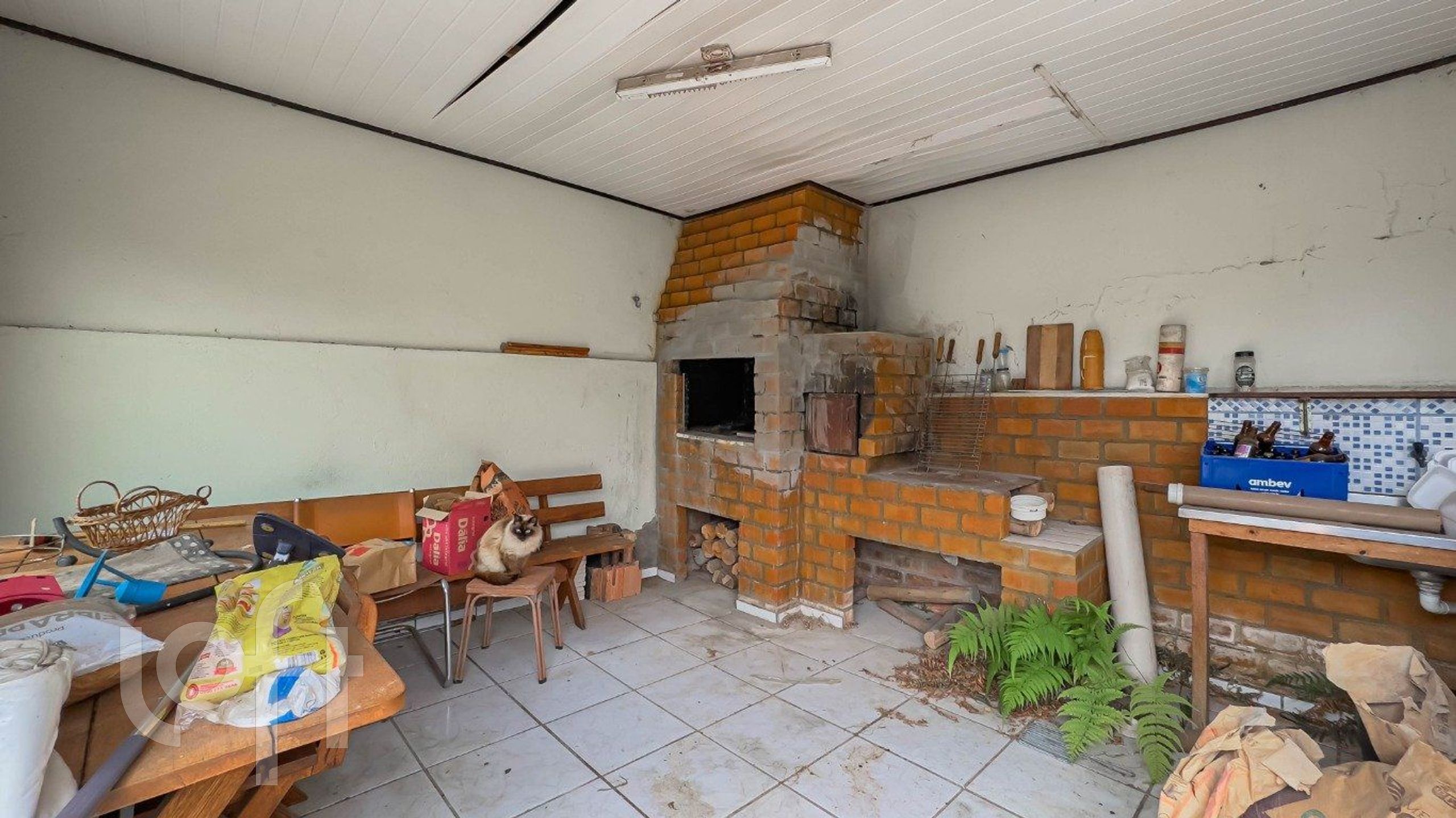 Imagem da propriedade 24