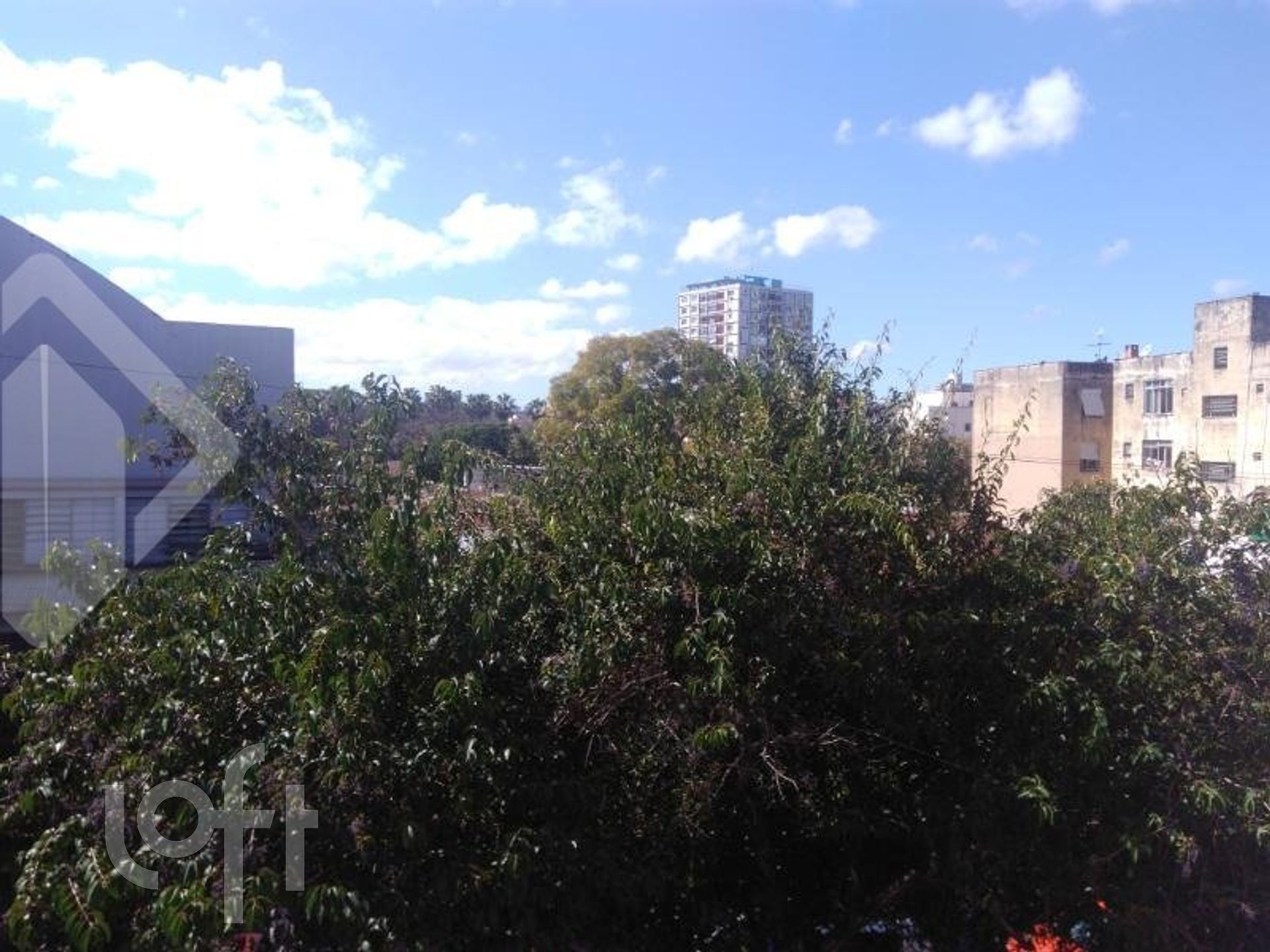 Imagem da propriedade 22