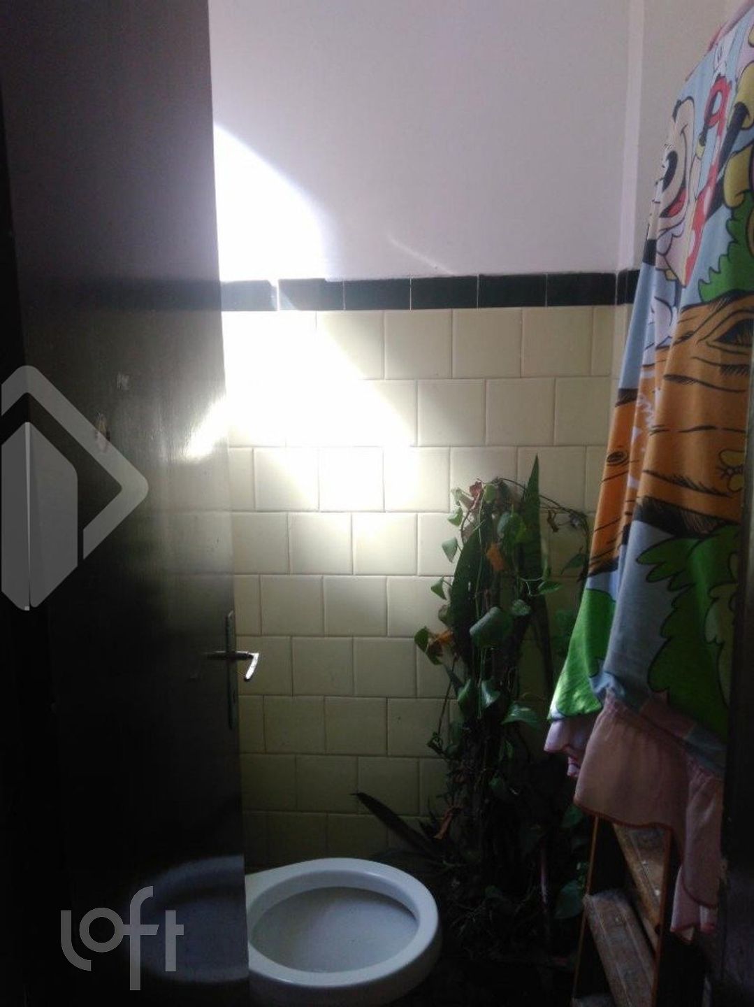 Imagem da propriedade 8