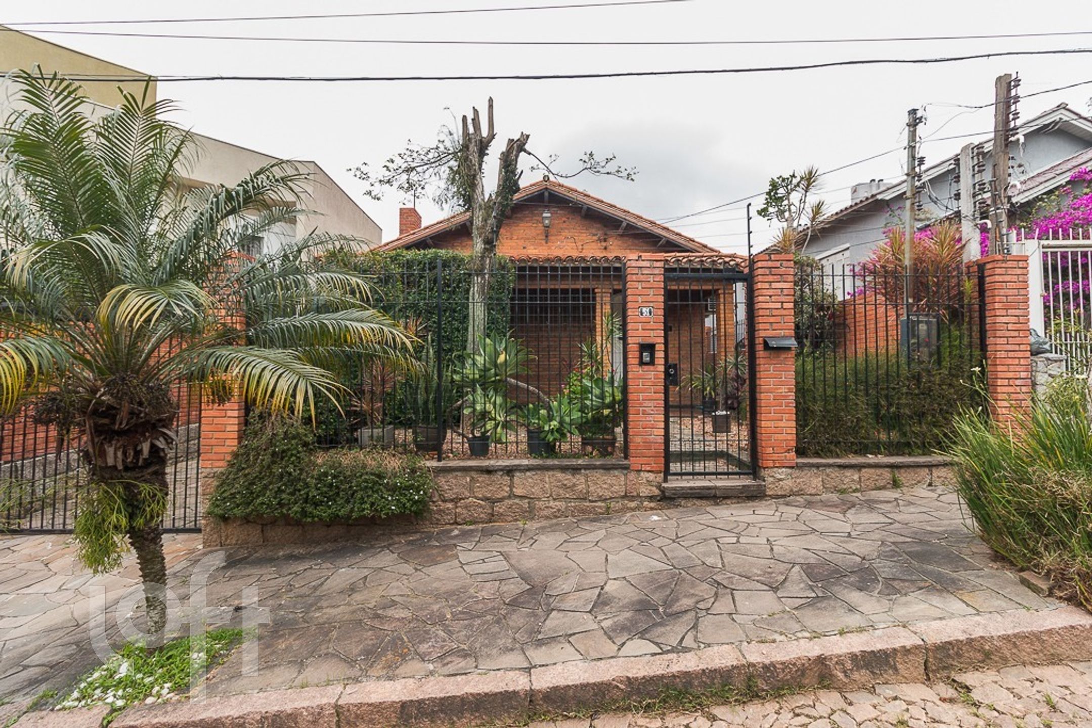 Imagem da propriedade 63