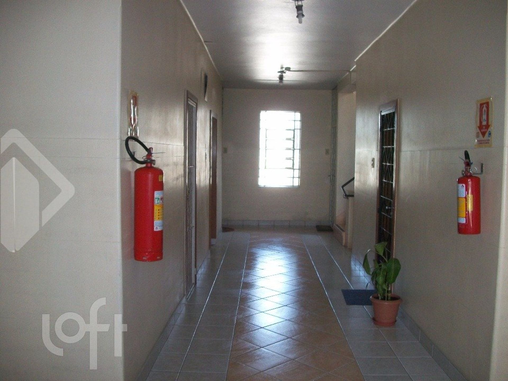 Imagem da propriedade 4