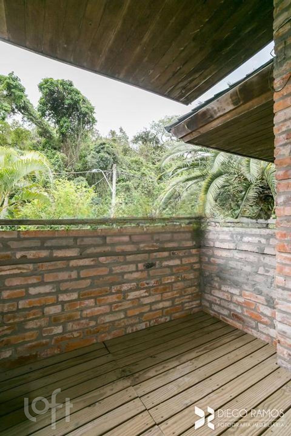 Imagem da propriedade 34