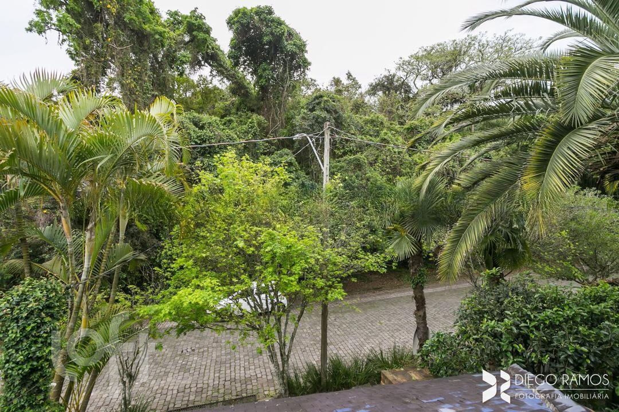 Imagem da propriedade 35