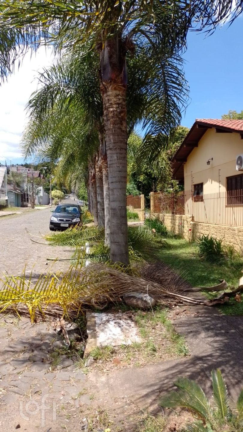 Imagem da propriedade 8