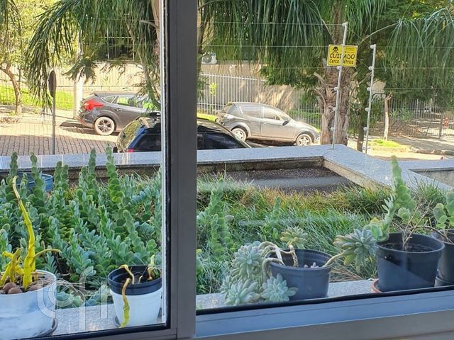 Apartamento com 80m², 3 dormitórios, 1 suíte, 1 vaga, Floresta em Porto Alegre