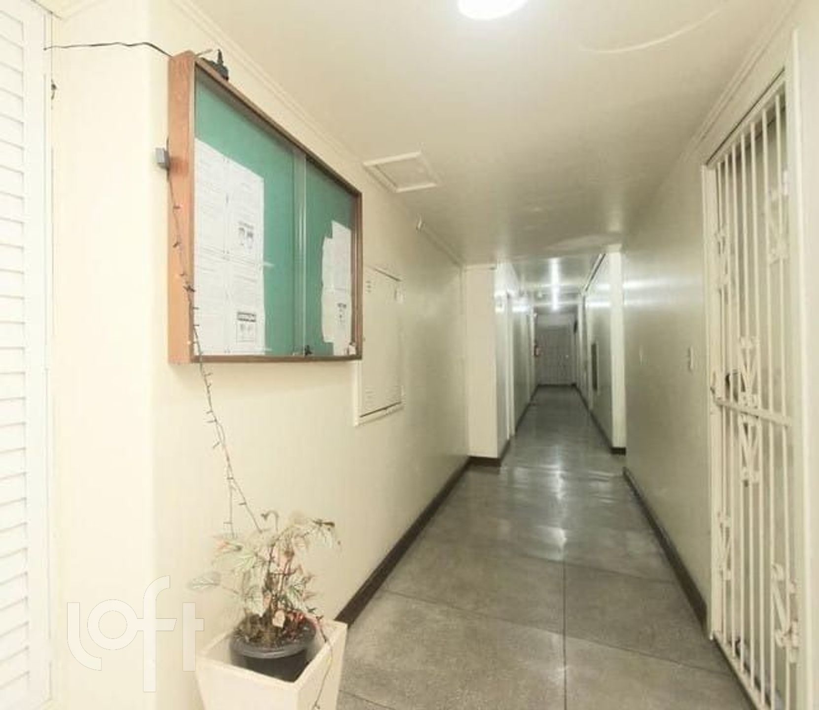 Imagem da propriedade 11