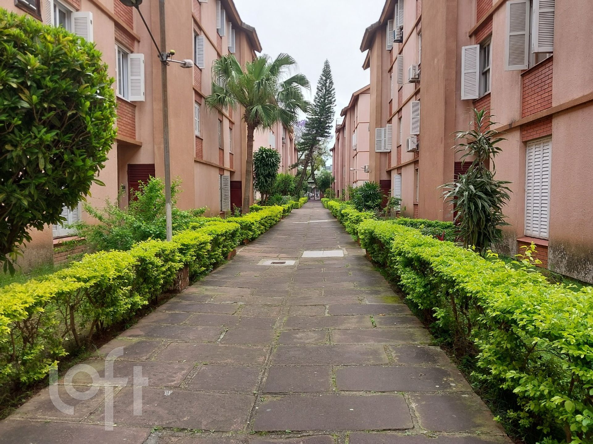 Imagem da propriedade 9