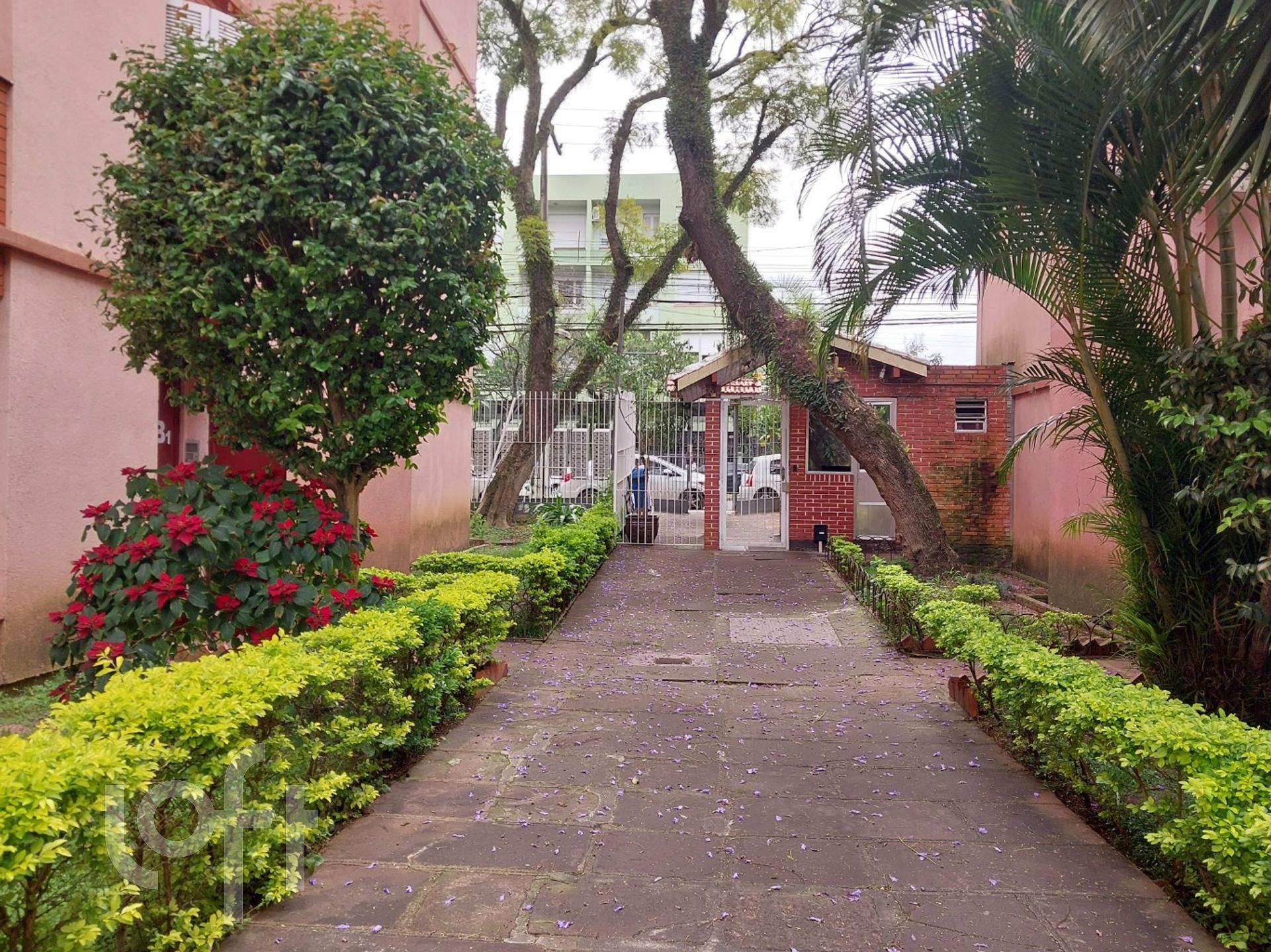 Imagem da propriedade 10