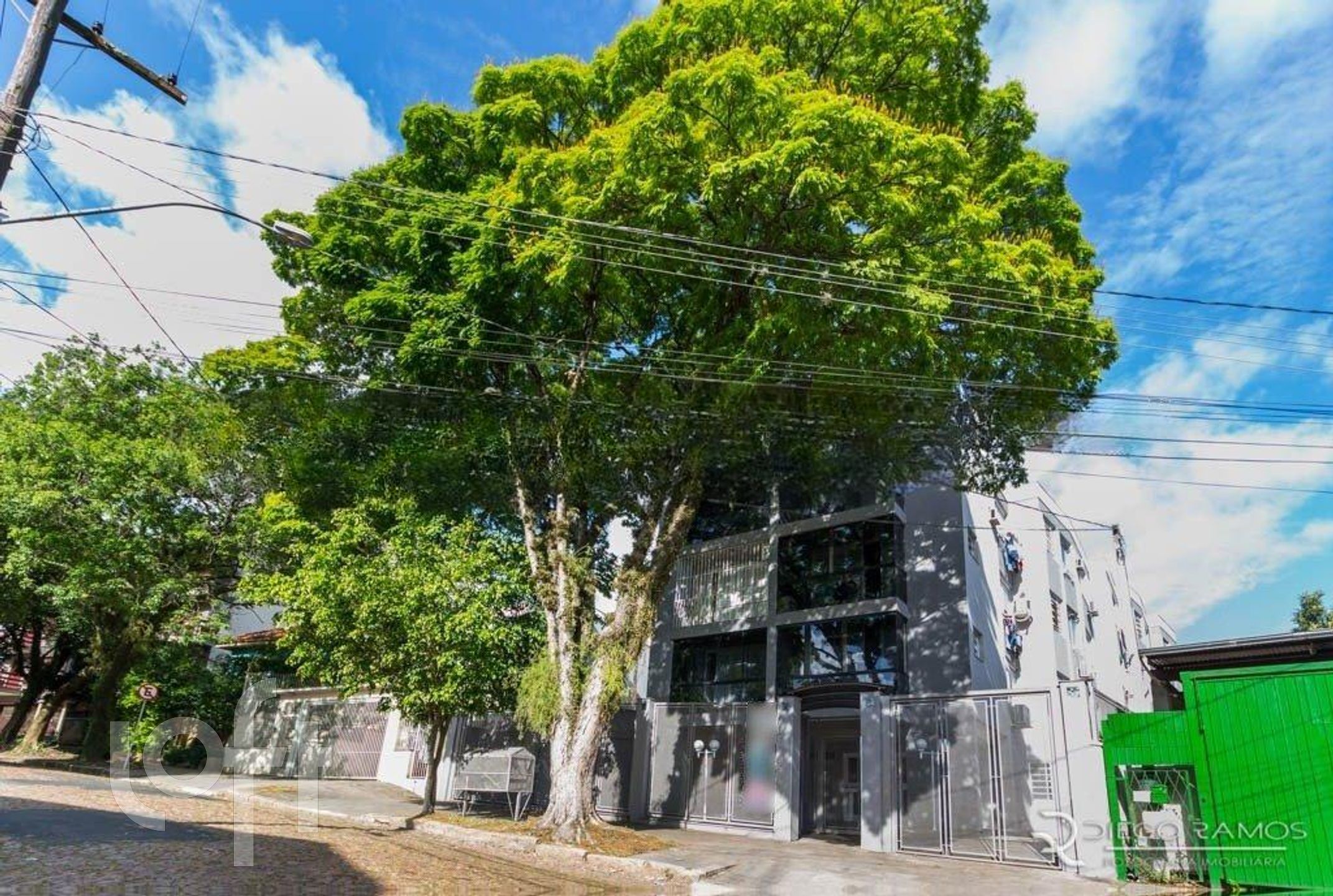 Imagem da propriedade 15