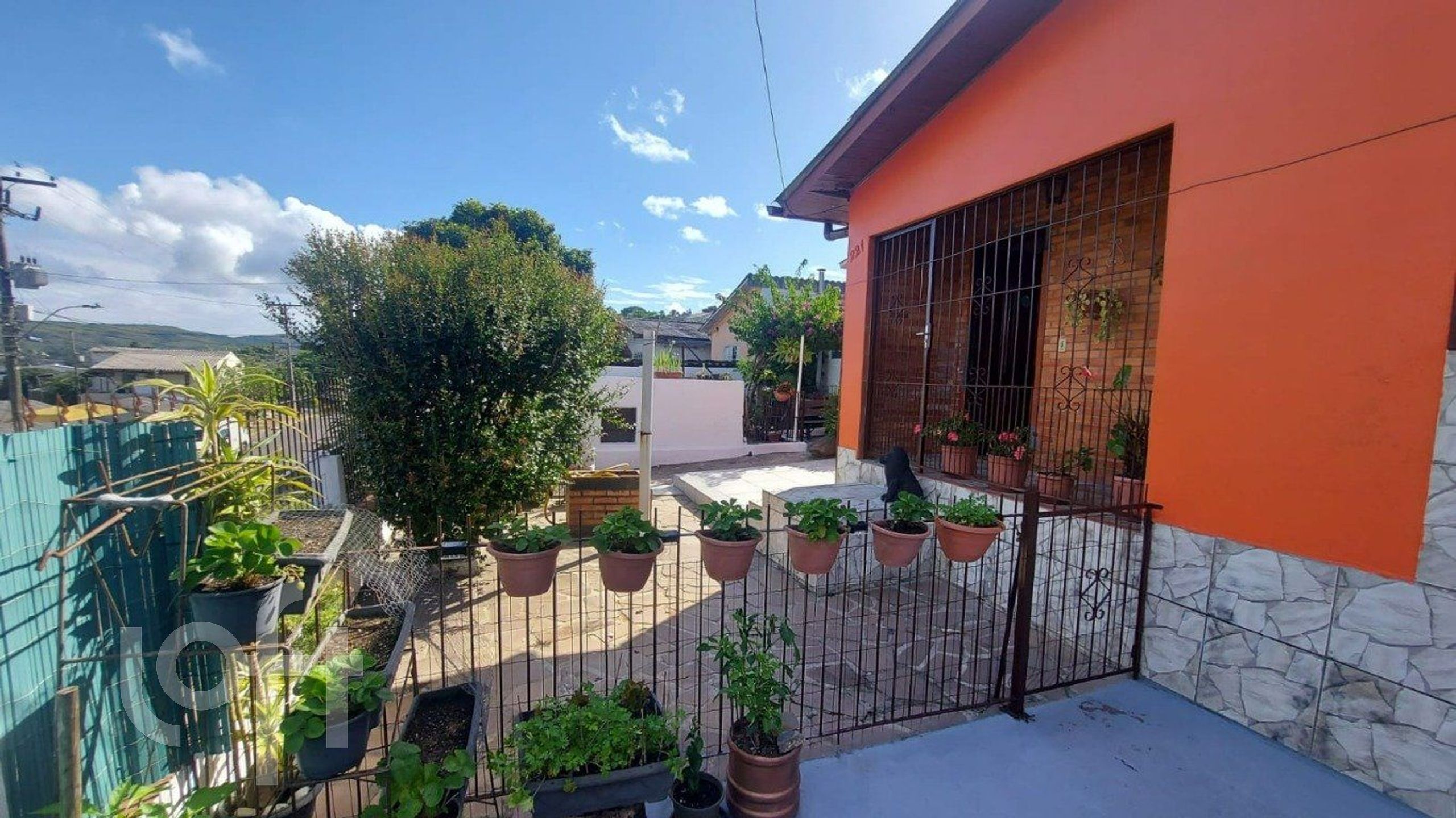 Imagem da propriedade 19