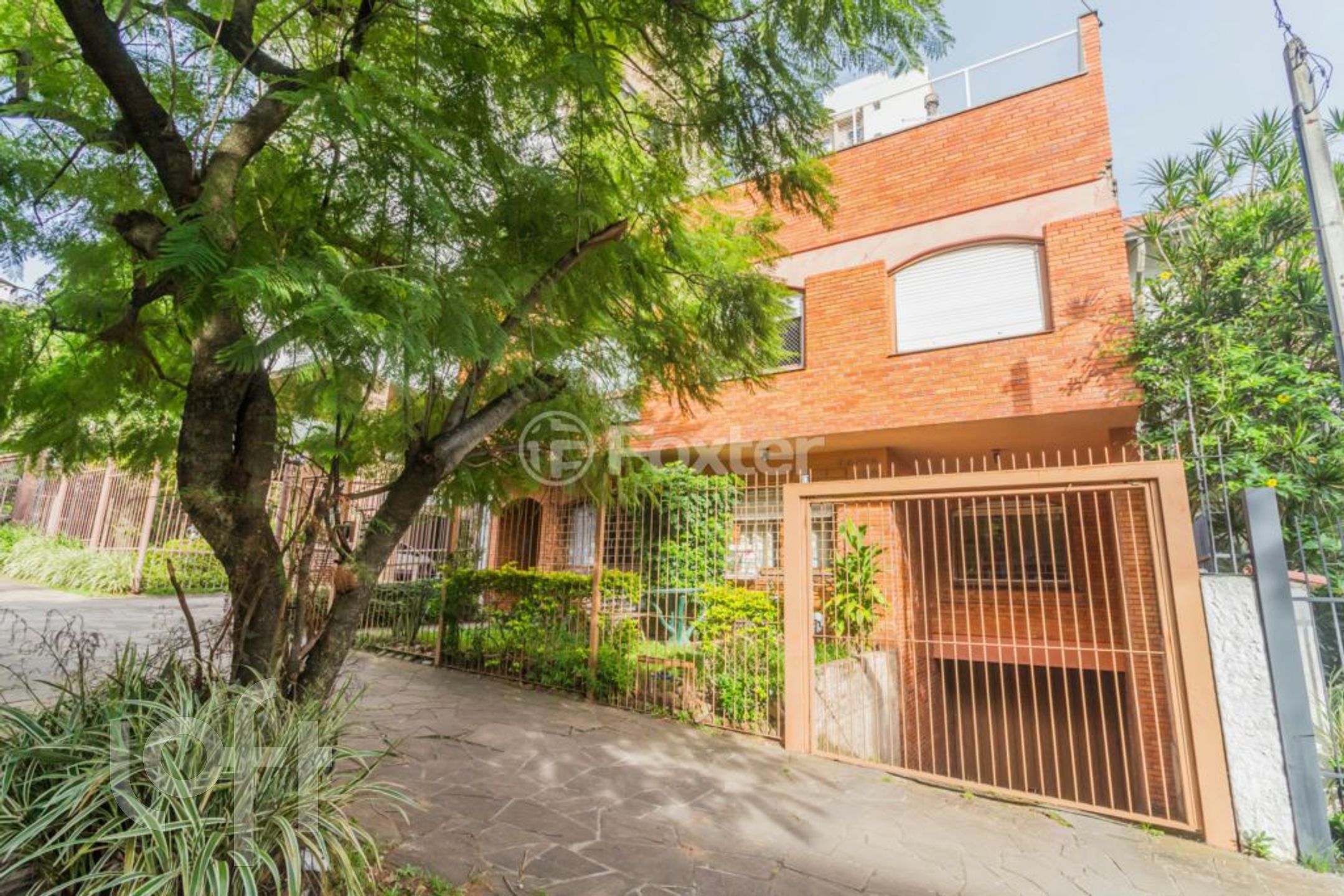 Imagem da propriedade 33