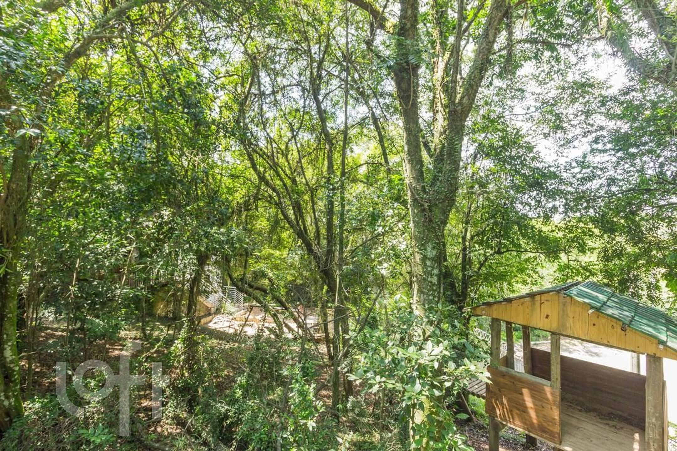 Imagem da propriedade 47