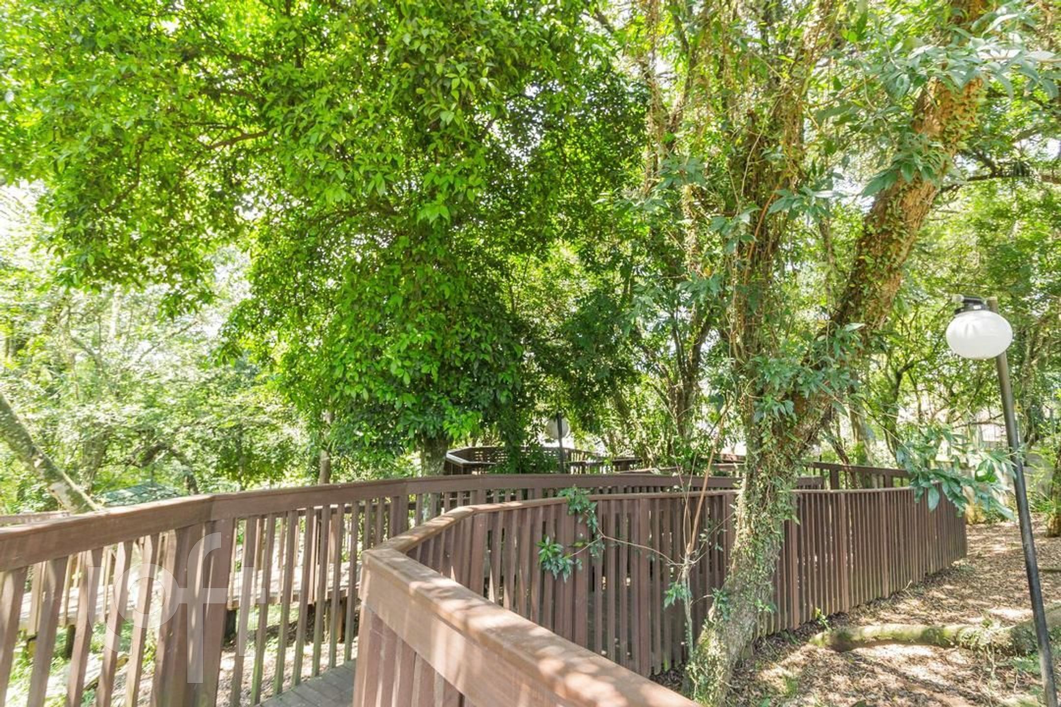 Imagem da propriedade 43