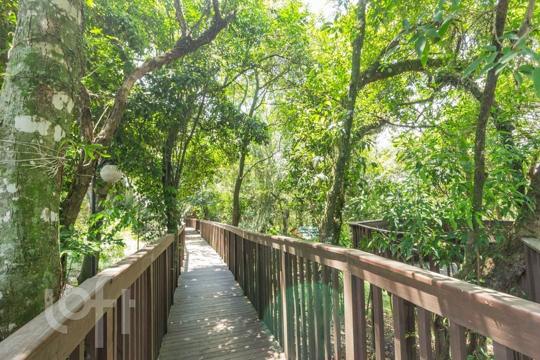 Imagem da propriedade 44