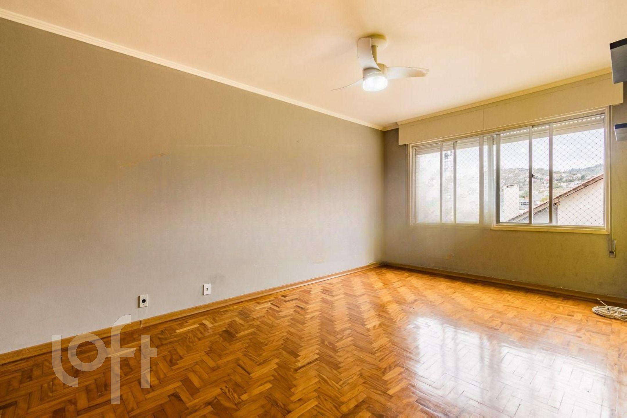 Imagem da propriedade 3