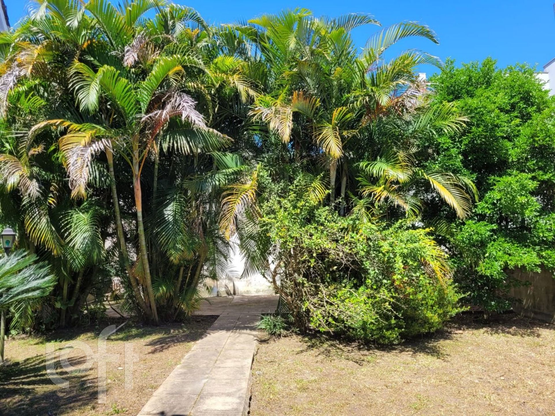 Imagem da propriedade 11