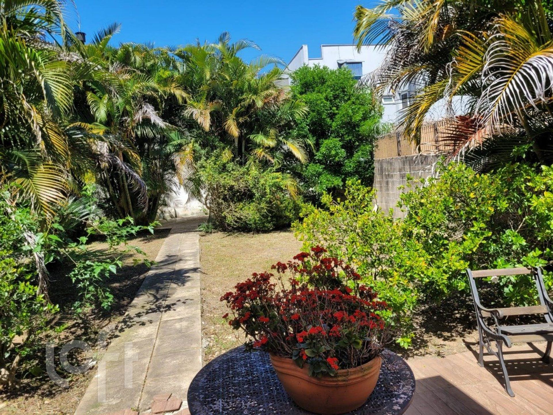 Imagem da propriedade 10