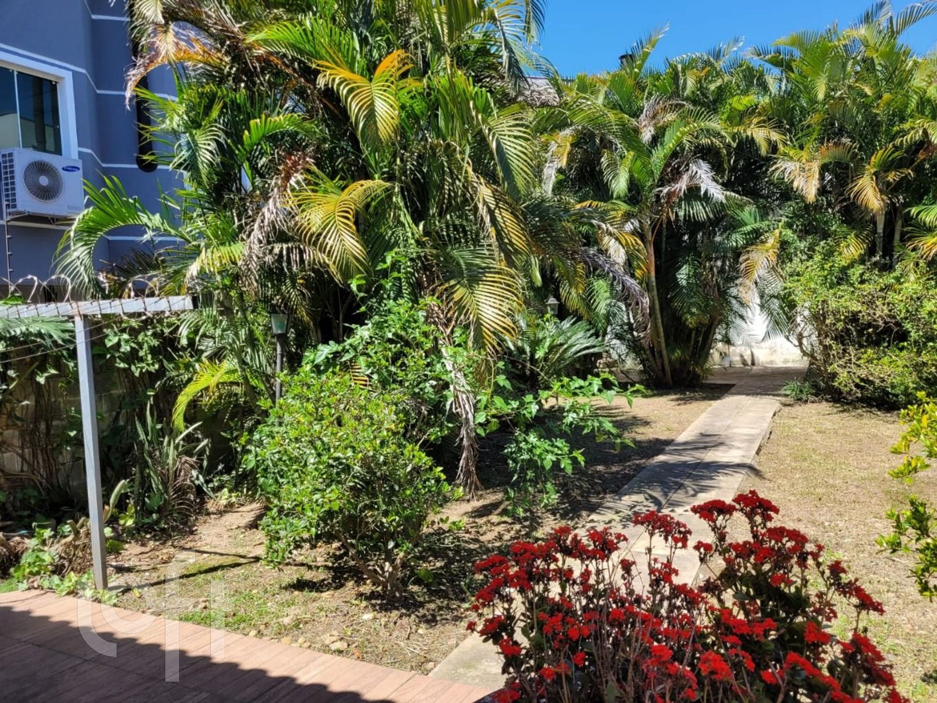 Imagem da propriedade 15