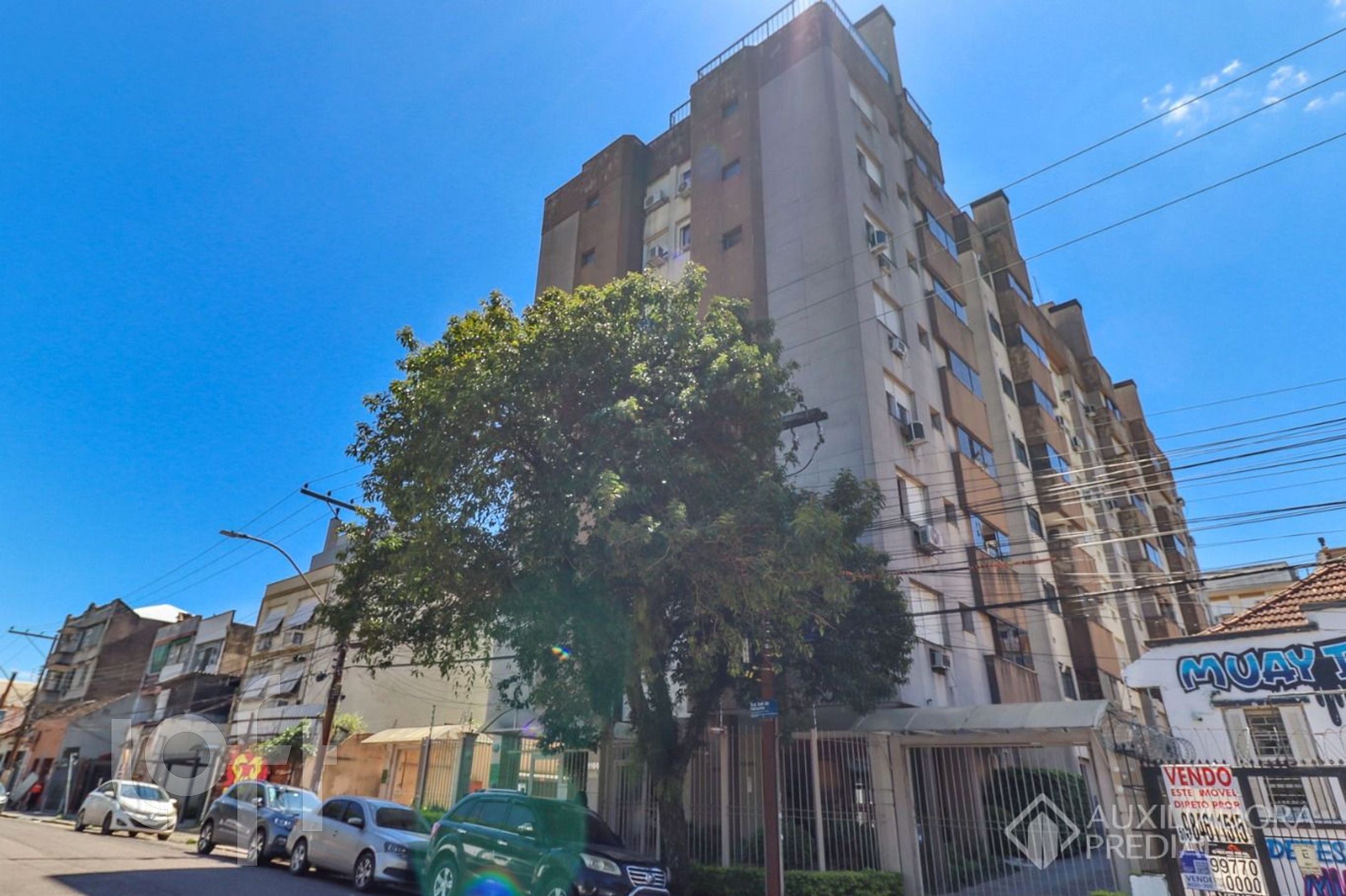 Imagem da propriedade 43