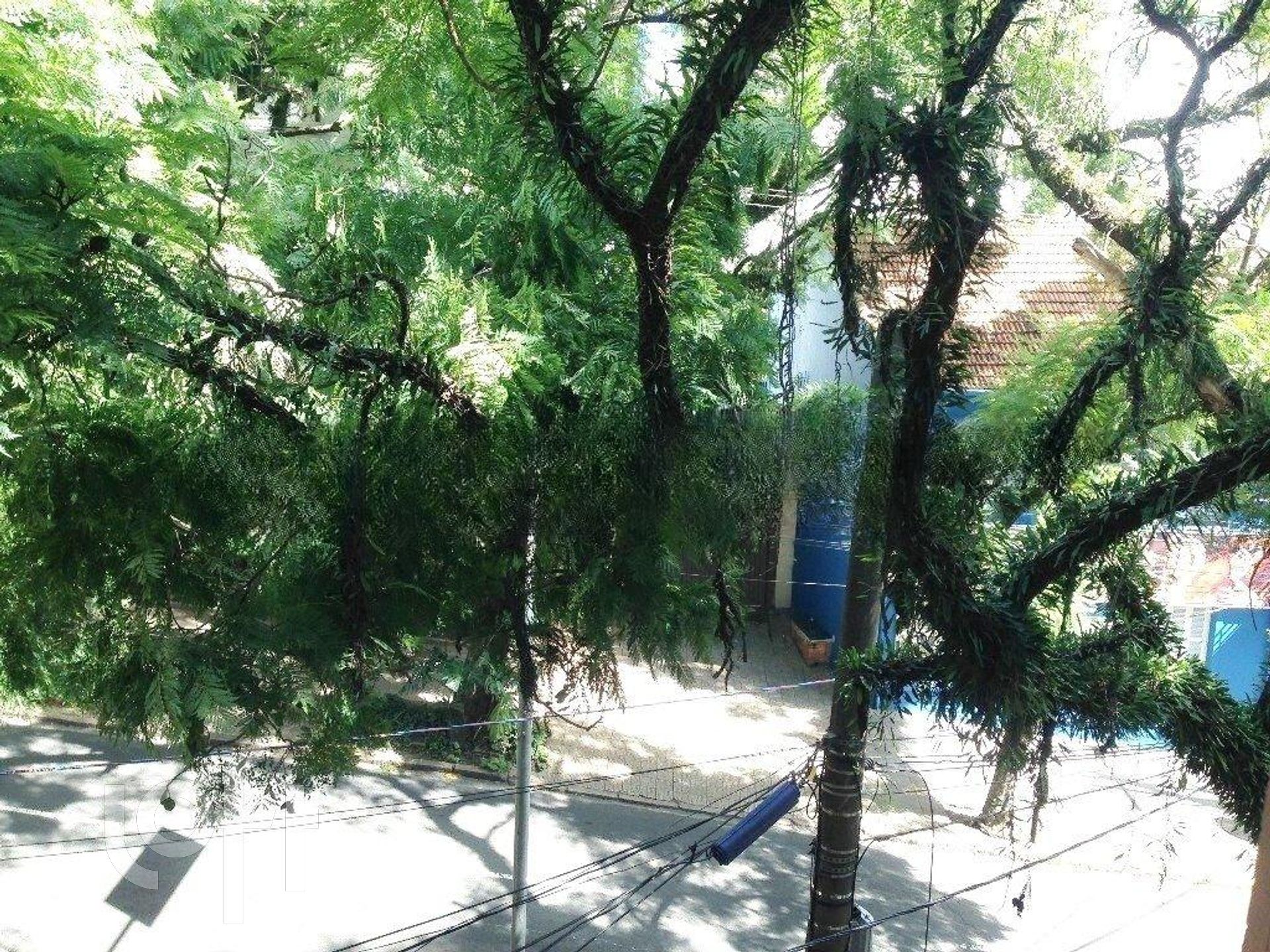 Imagem da propriedade 14