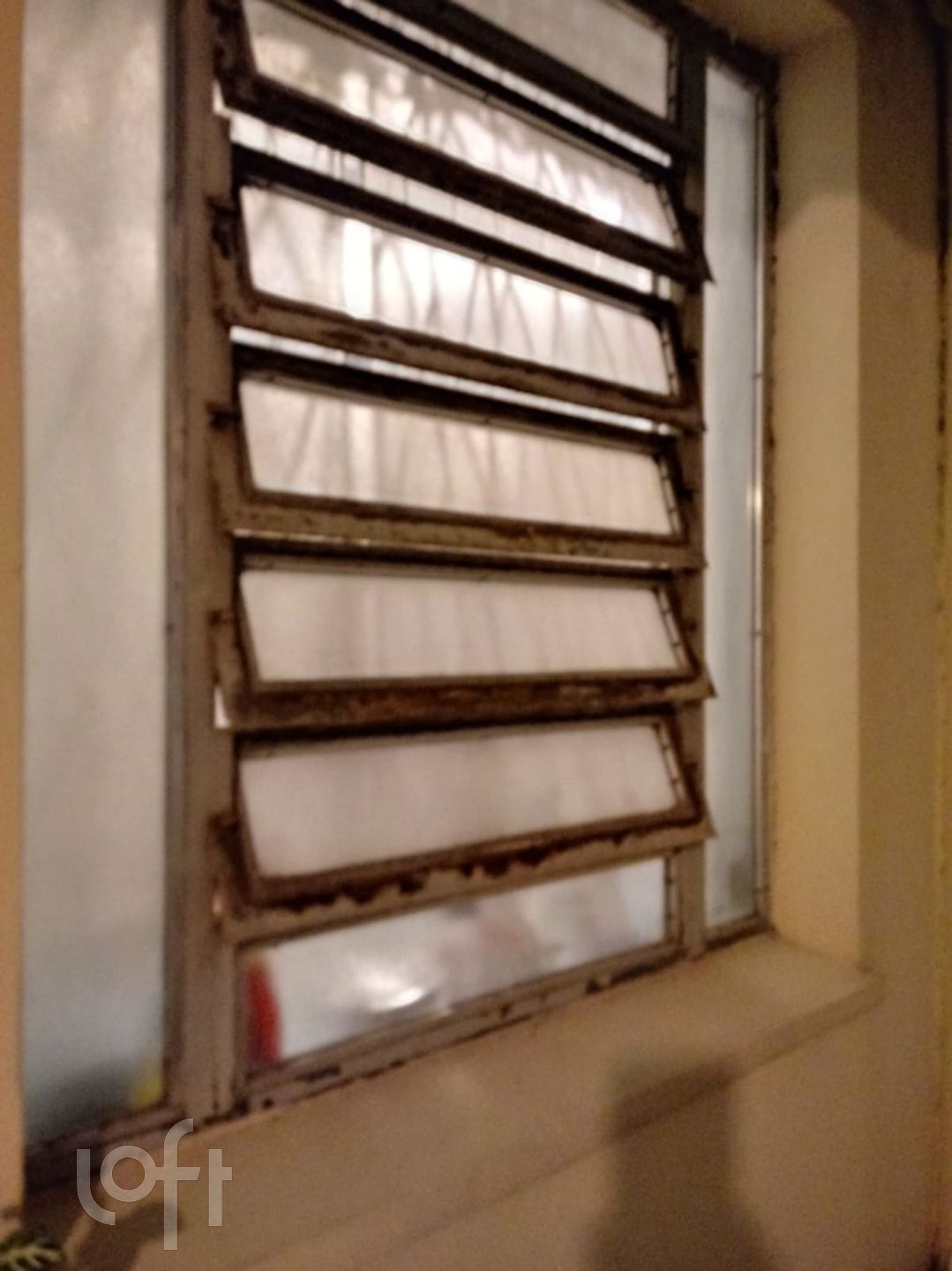 Imagem da propriedade 11