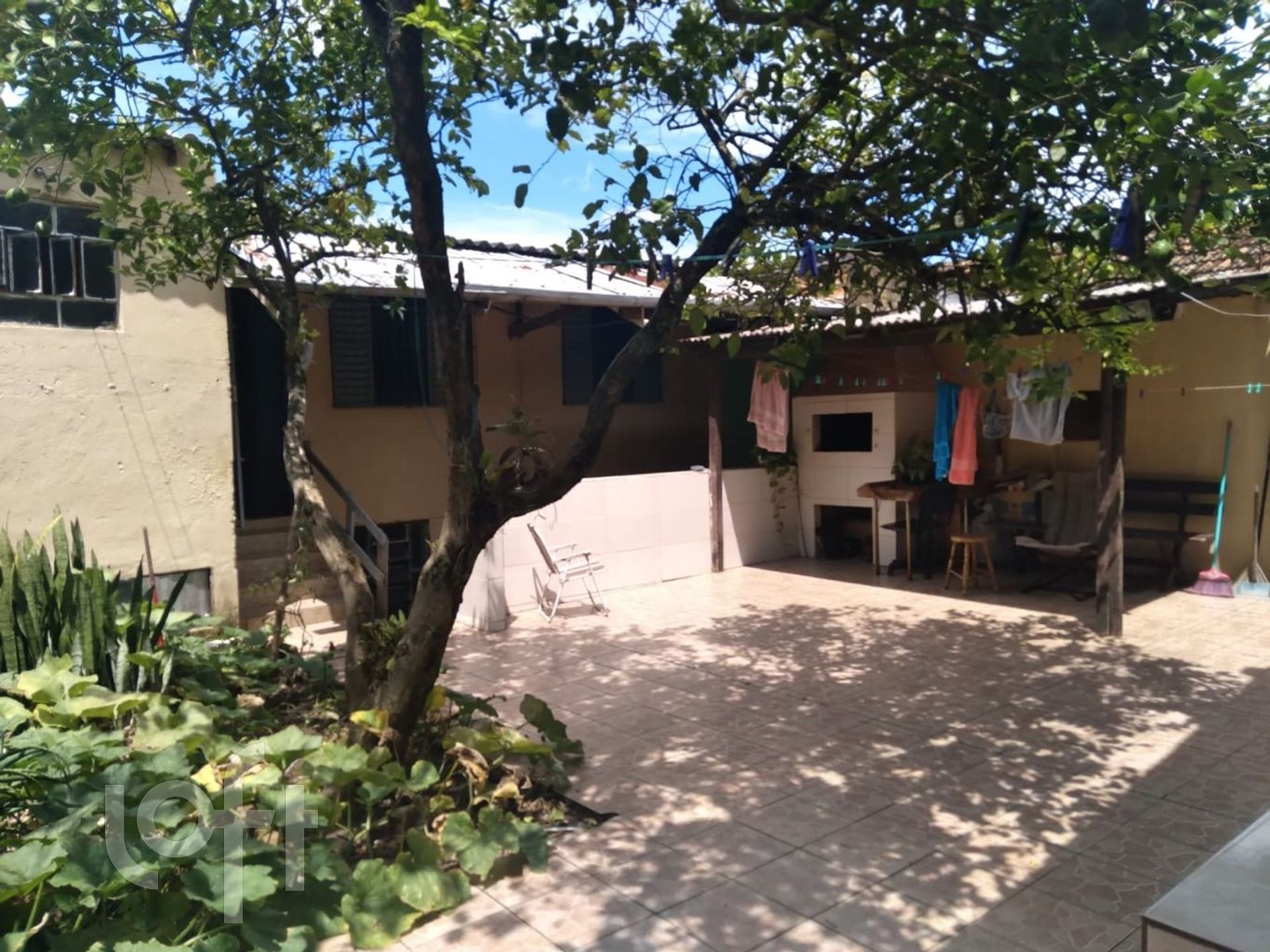 Imagem da propriedade 19