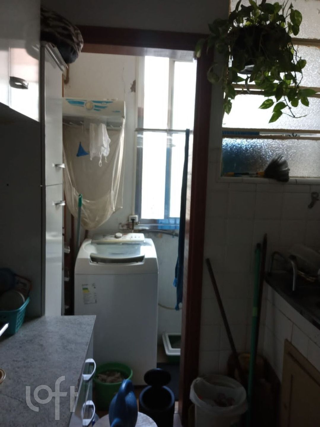 Imagem da propriedade 4