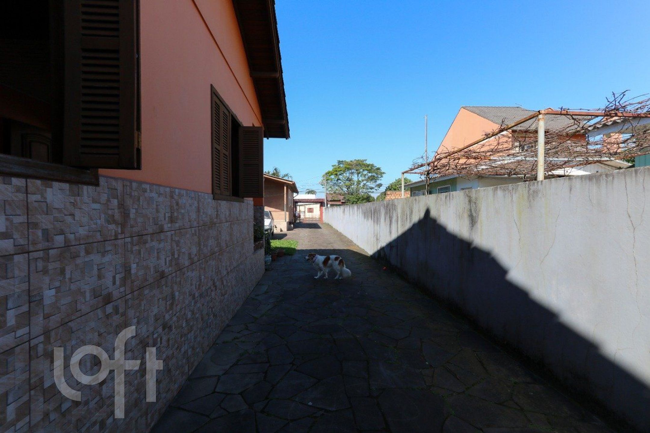 Imagem da propriedade 28