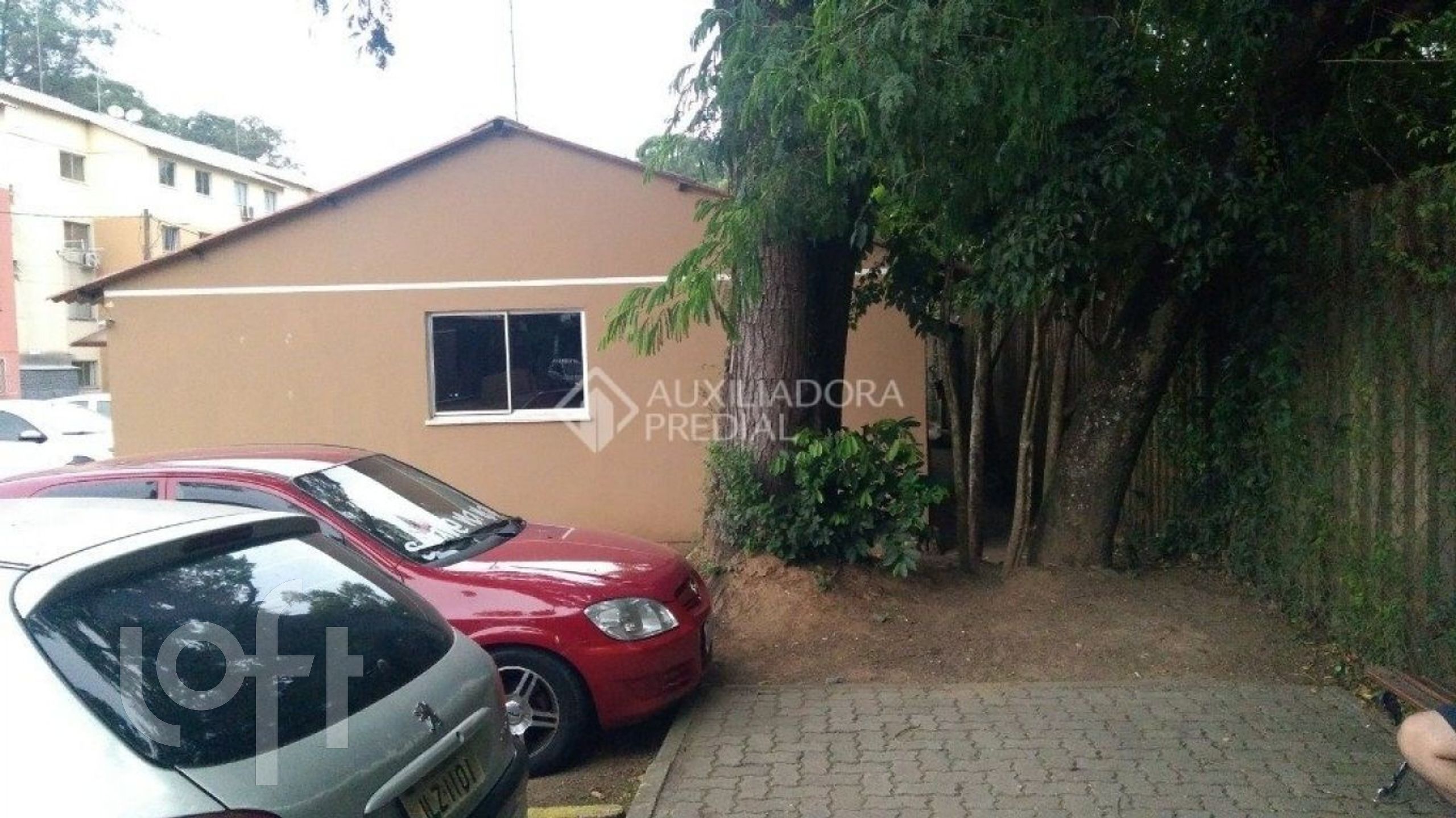 Imagem da propriedade 4