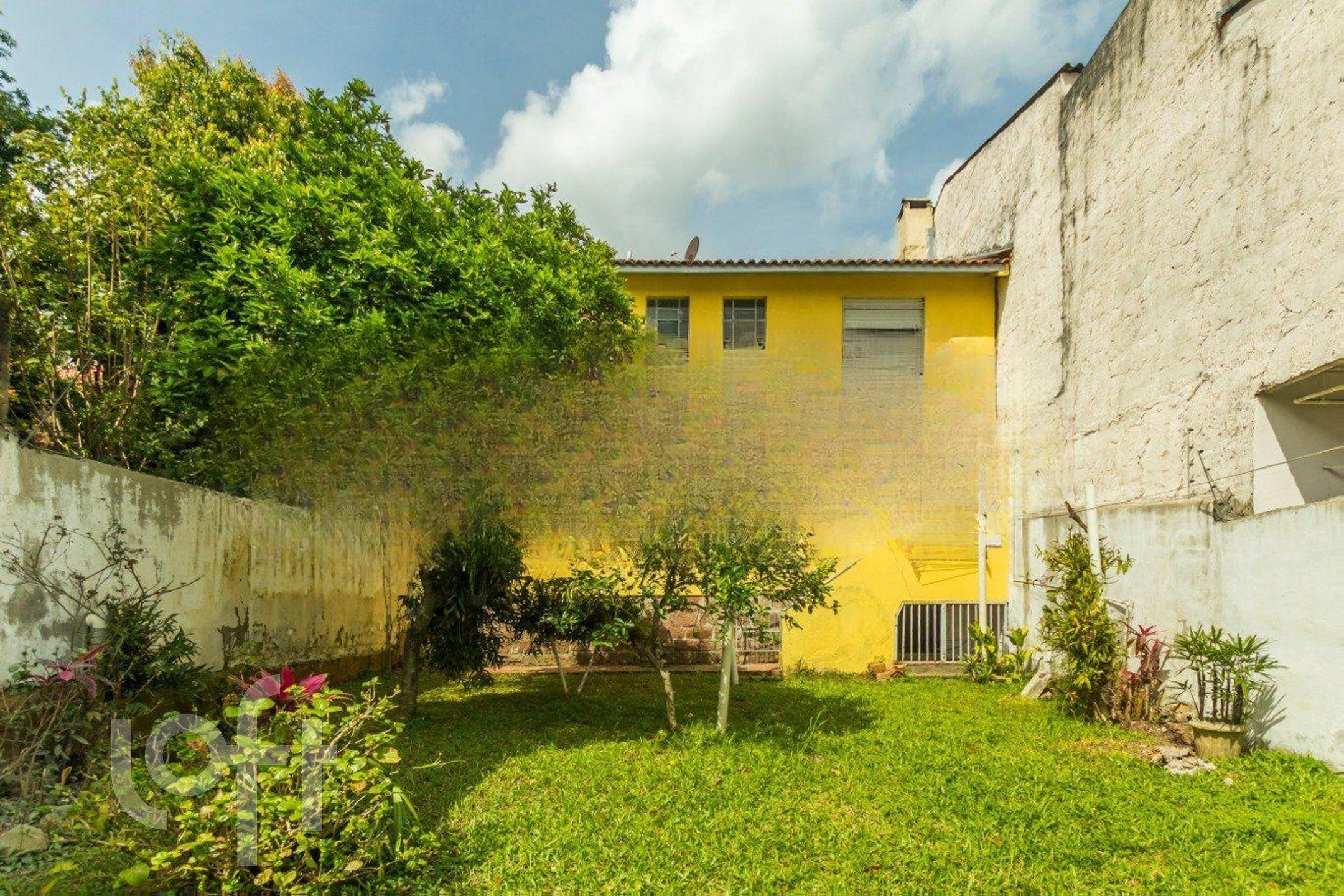 Imagem da propriedade 3