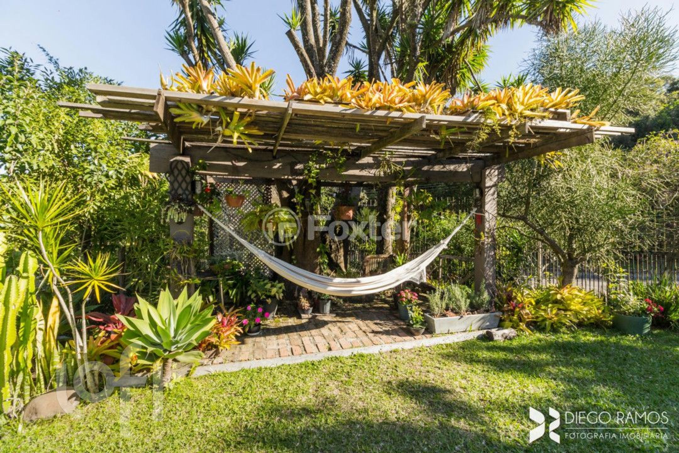 Imagem da propriedade 34