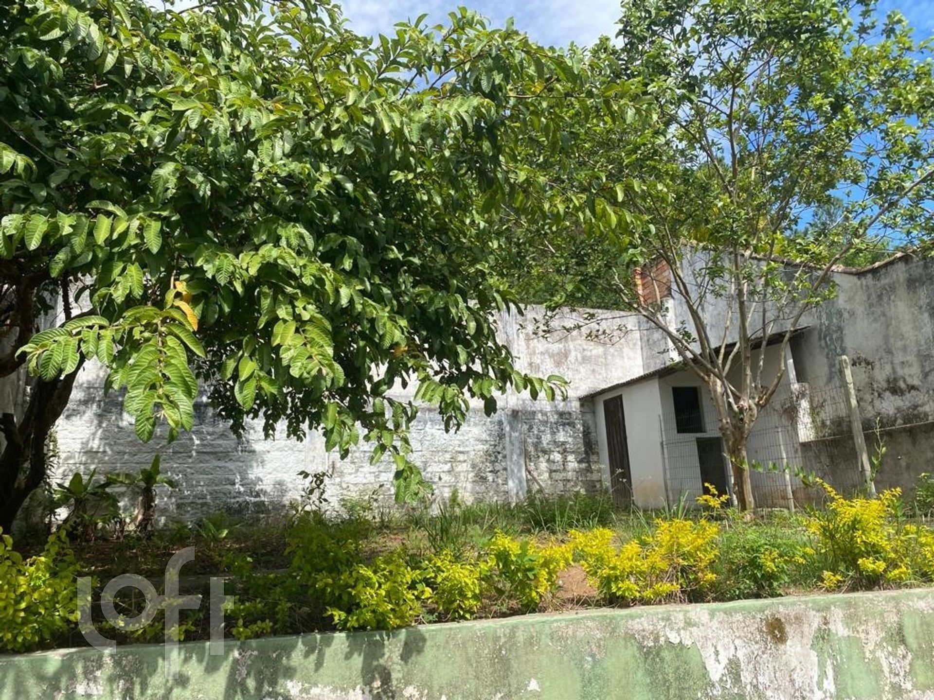 Imagem da propriedade 20