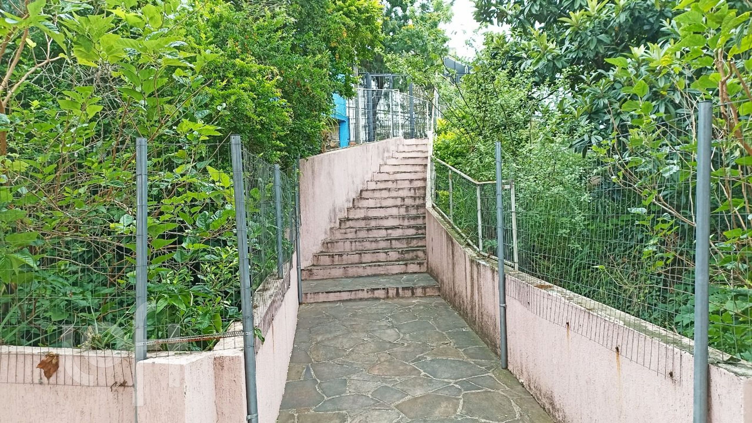 Imagem da propriedade 6