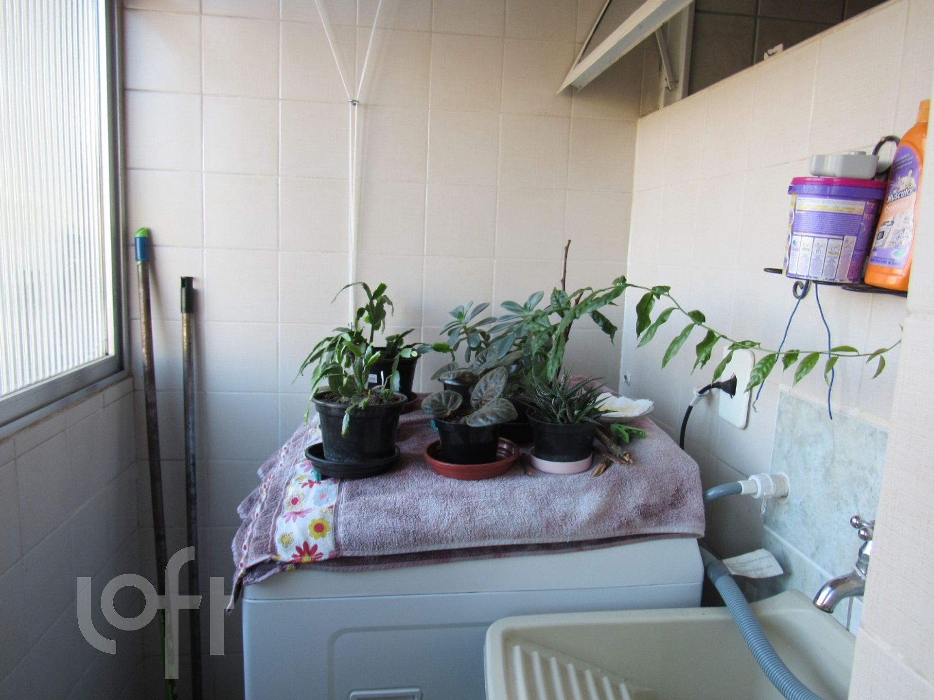 Imagem da propriedade 6