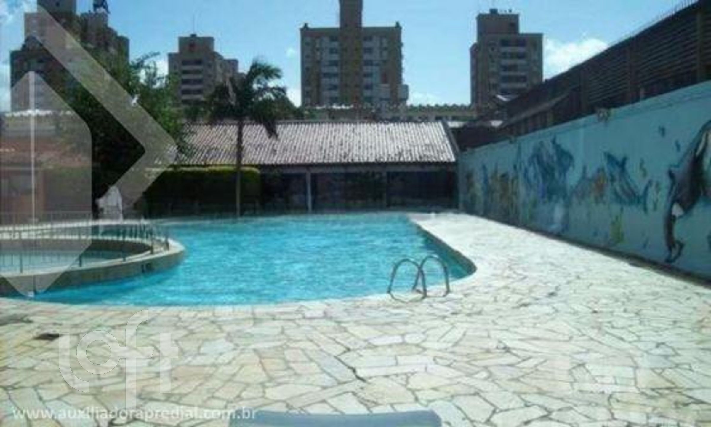 Imagem da propriedade 18