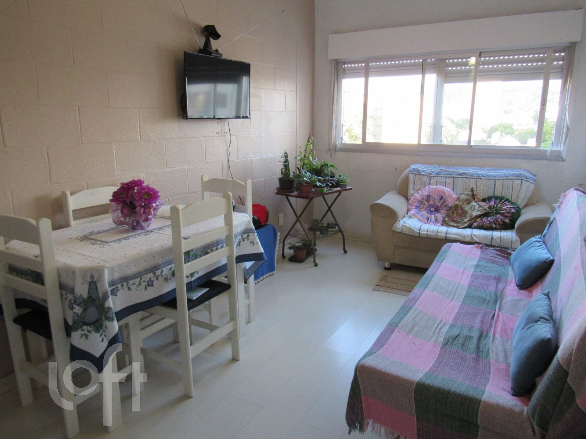 Imagem da propriedade 15