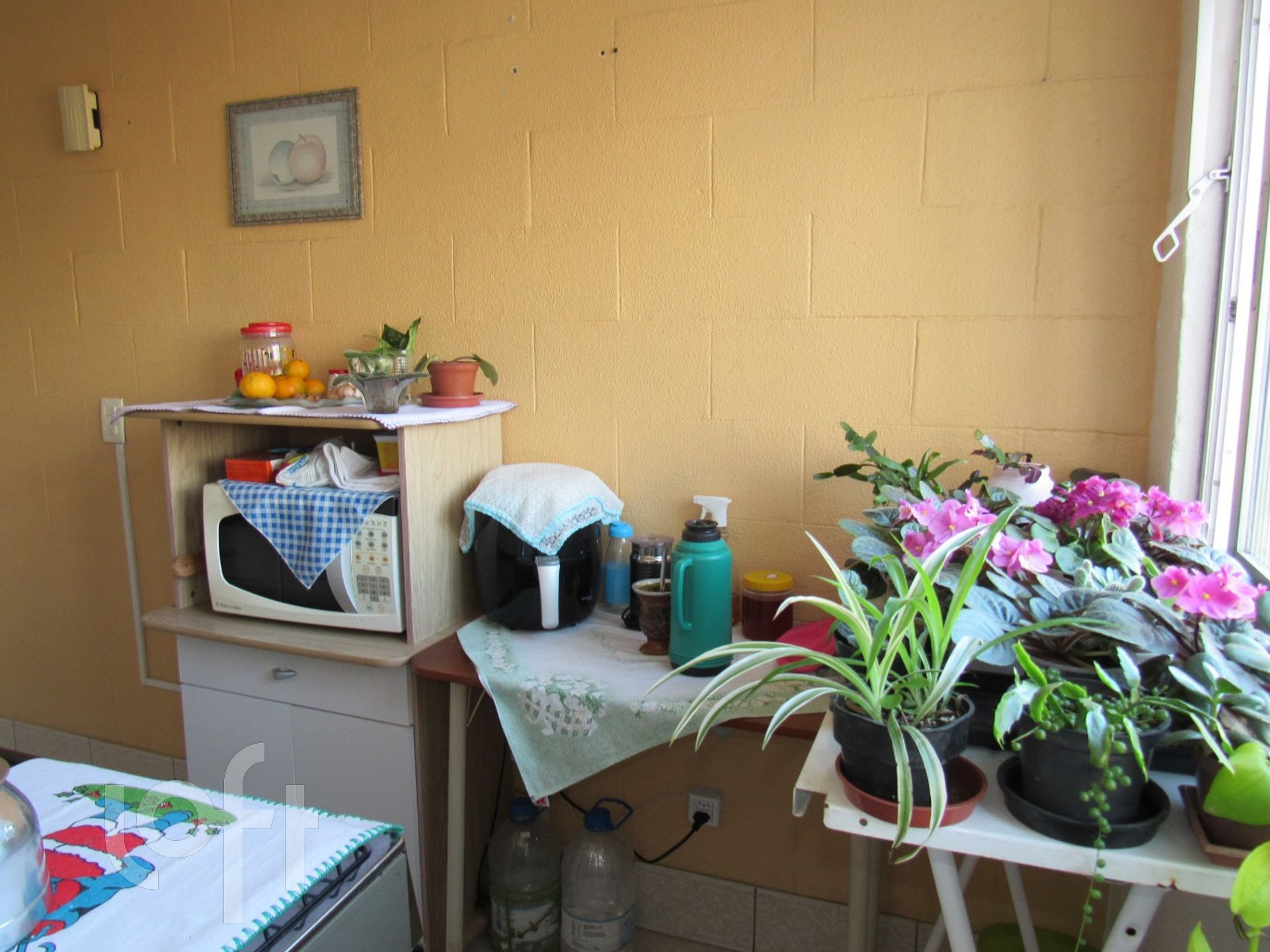 Imagem da propriedade 7